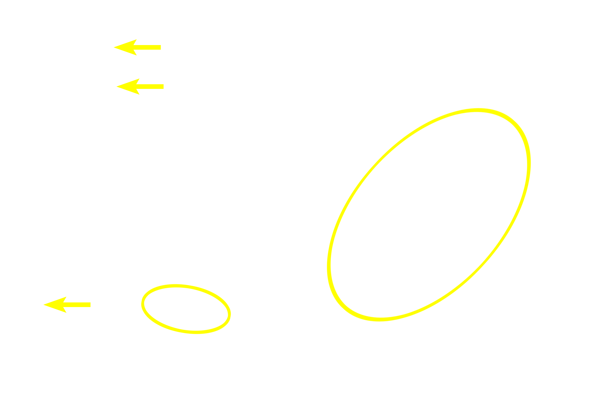  - Submucosal plexus > <p>The submucosal plexus is the smaller component of the enteric nervous system and its ganglia are located near the mucosa as well as adjacent to the inner layer of the muscularis externa. </p>
