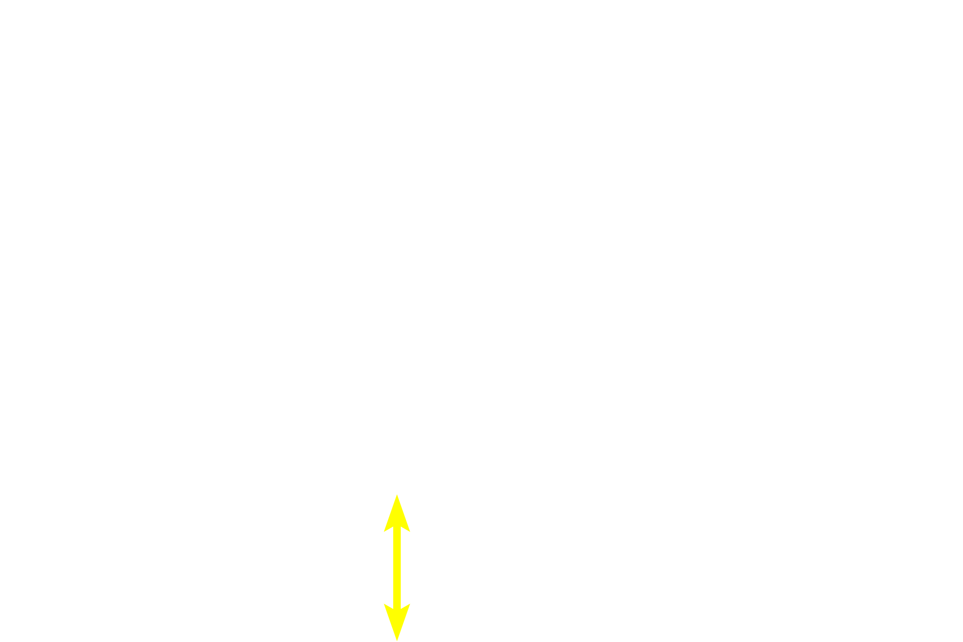Muscularis externa <p>The entire digestive tract is innervated by the enteric subdivision of the autonomic nervous system, controlling smooth muscle contraction, secretion and blood flow.  The enteric nervous system consists of two components: the submucosal (Meissner’s) plexus located in the submucosa and the myenteric (Auerbach’s) plexus located between the muscle layers of the muscularis externa.  Each plexus consists of neurons in small ganglia interconnected by a network of unmyelinated axons that eventually innervate the tissues. 200x, 800x</p>
