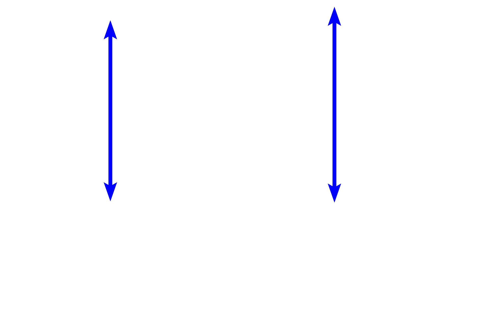  - Inner circular layer <p>The muscularis externa of the small intestine, seen here in cross section (left) and longitudinal section (right), is composed of inner circular and outer longitudinal layers of smooth muscle, similar to other regions of the digestive tract.  Located between the layers is the myenteric (Auerbach’s) plexus, a component of the enteric nervous system that controls contraction of the smooth muscle.  Contractions of the longitudinal layer muscle provides propulsion of the luminal contents (peristalsis); contraction of the inner circular layer divides and mixes the luminal contents (segmentation).  200x</p>
