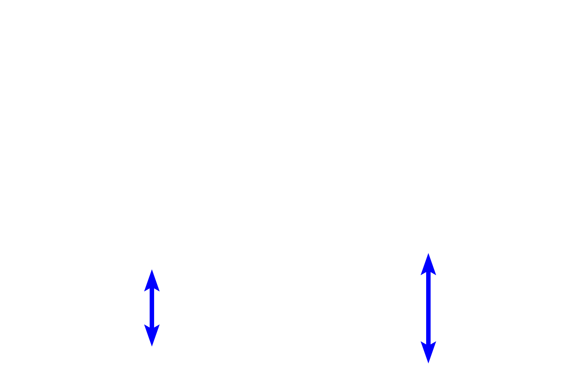  - Outer longitudinal layer <p>The muscularis externa of the small intestine, seen here in cross section (left) and longitudinal section (right), is composed of inner circular and outer longitudinal layers of smooth muscle, similar to other regions of the digestive tract.  Located between the layers is the myenteric (Auerbach’s) plexus, a component of the enteric nervous system that controls contraction of the smooth muscle.  Contractions of the longitudinal layer muscle provides propulsion of the luminal contents (peristalsis); contraction of the inner circular layer divides and mixes the luminal contents (segmentation).  200x</p>
