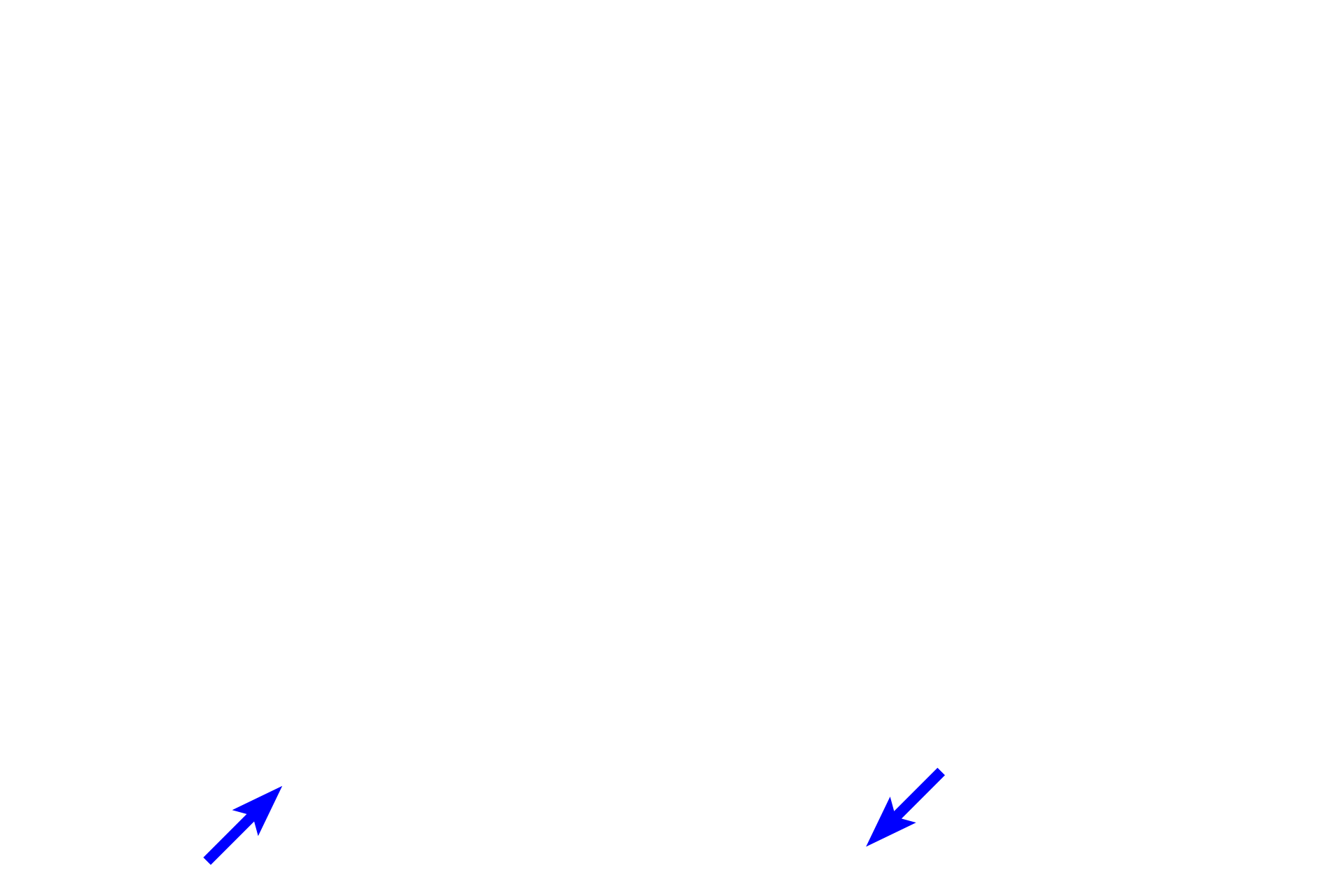Serosa <p>The muscularis externa of the small intestine, seen here in cross section (left) and longitudinal section (right), is composed of inner circular and outer longitudinal layers of smooth muscle, similar to other regions of the digestive tract.  Located between the layers is the myenteric (Auerbach’s) plexus, a component of the enteric nervous system that controls contraction of the smooth muscle.  Contractions of the longitudinal layer muscle provides propulsion of the luminal contents (peristalsis); contraction of the inner circular layer divides and mixes the luminal contents (segmentation).  200x</p>
