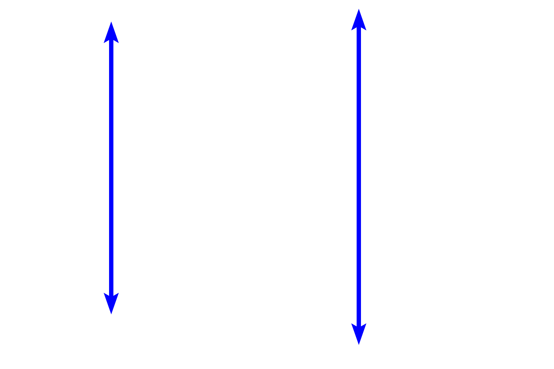 Muscularis externa <p>The muscularis externa of the small intestine, seen here in cross section (left) and longitudinal section (right), is composed of inner circular and outer longitudinal layers of smooth muscle, similar to other regions of the digestive tract.  Located between the layers is the myenteric (Auerbach’s) plexus, a component of the enteric nervous system that controls contraction of the smooth muscle.  Contractions of the longitudinal layer muscle provides propulsion of the luminal contents (peristalsis); contraction of the inner circular layer divides and mixes the luminal contents (segmentation).  200x</p>
