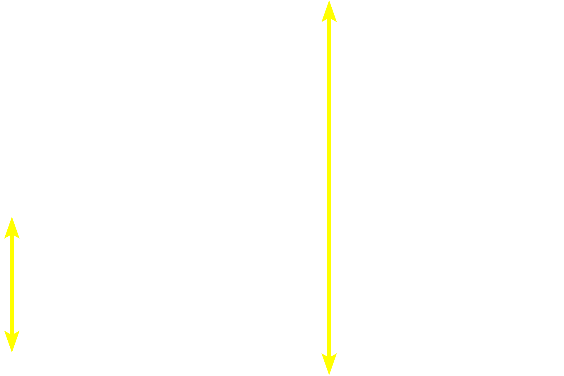 Muscularis externa <p>The myenteric plexus is the second and larger component of the autonomic innervation of the digestive tract.  Like the submucosal plexus, it consists of neurons in ganglia that are interconnected by a network of unmyelinated axons.  This plexus innervates both layers of the muscularis externa from the esophagus to the rectum and is principally responsible for peristaltic movements and segmentation (mixing). 10x, 600x</p>
