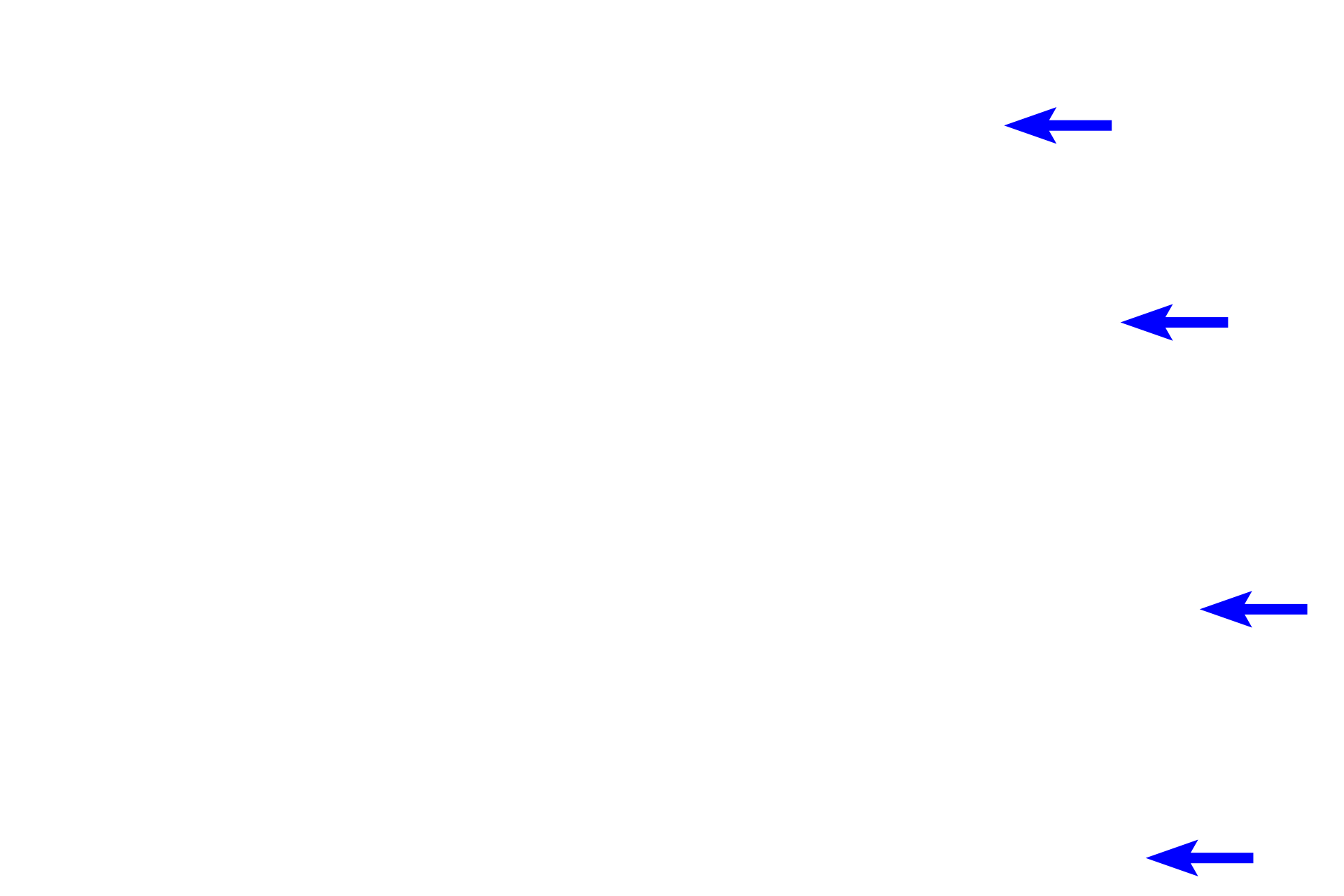  - Mesothelium <p>Most of the small intestine protrudes into an internal body cavity, the peritoneal cavity, and is therefore, covered by a serosa, consisting of a simple squamous epithelium (mesothelium) and a small amount of connective tissue.  This serosa, called visceral peritoneum, produces a lubricating fluid that reduces friction between the organs.  A portion of the duodenum is retroperitoneal, covered only on its anterior surface by a serosa.  The posterior surface, where it contacts the posterior body wall, has an adventitia only.   800x</p>
