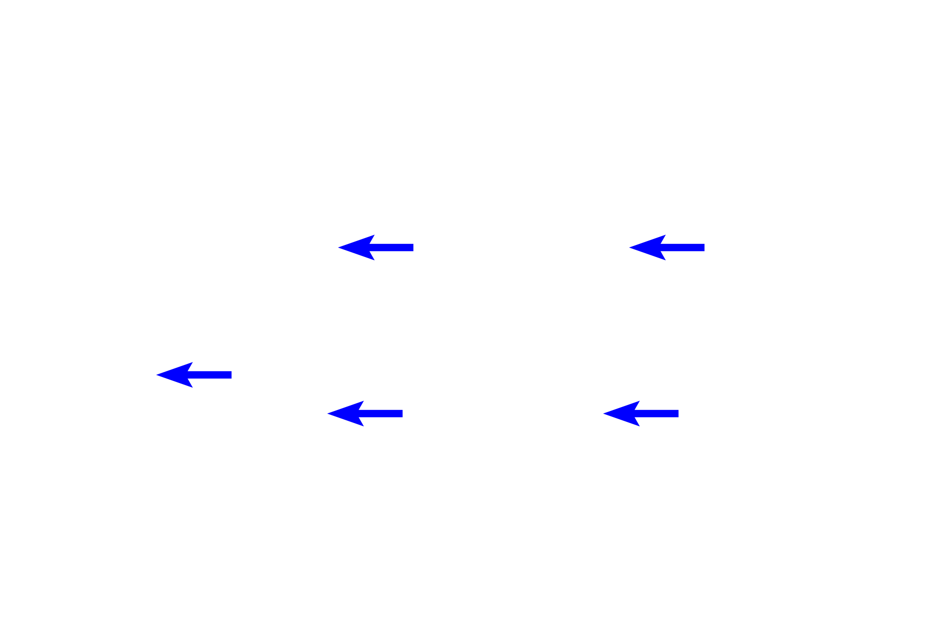 Submucosa <p>A section of the jejunum displays the four layers of the small intestine (mucosa, submucosa, muscularis externa and serosa), including structures that increase surface area, villi and plicae circulares. Villi have a core of lamina propria covered by the intestinal epithelium, including microvilli on absorptive cells. Each plica has a core of submucosa that is overlain by all mucosal layers, including villi.  Jejunum, 40x</p>
