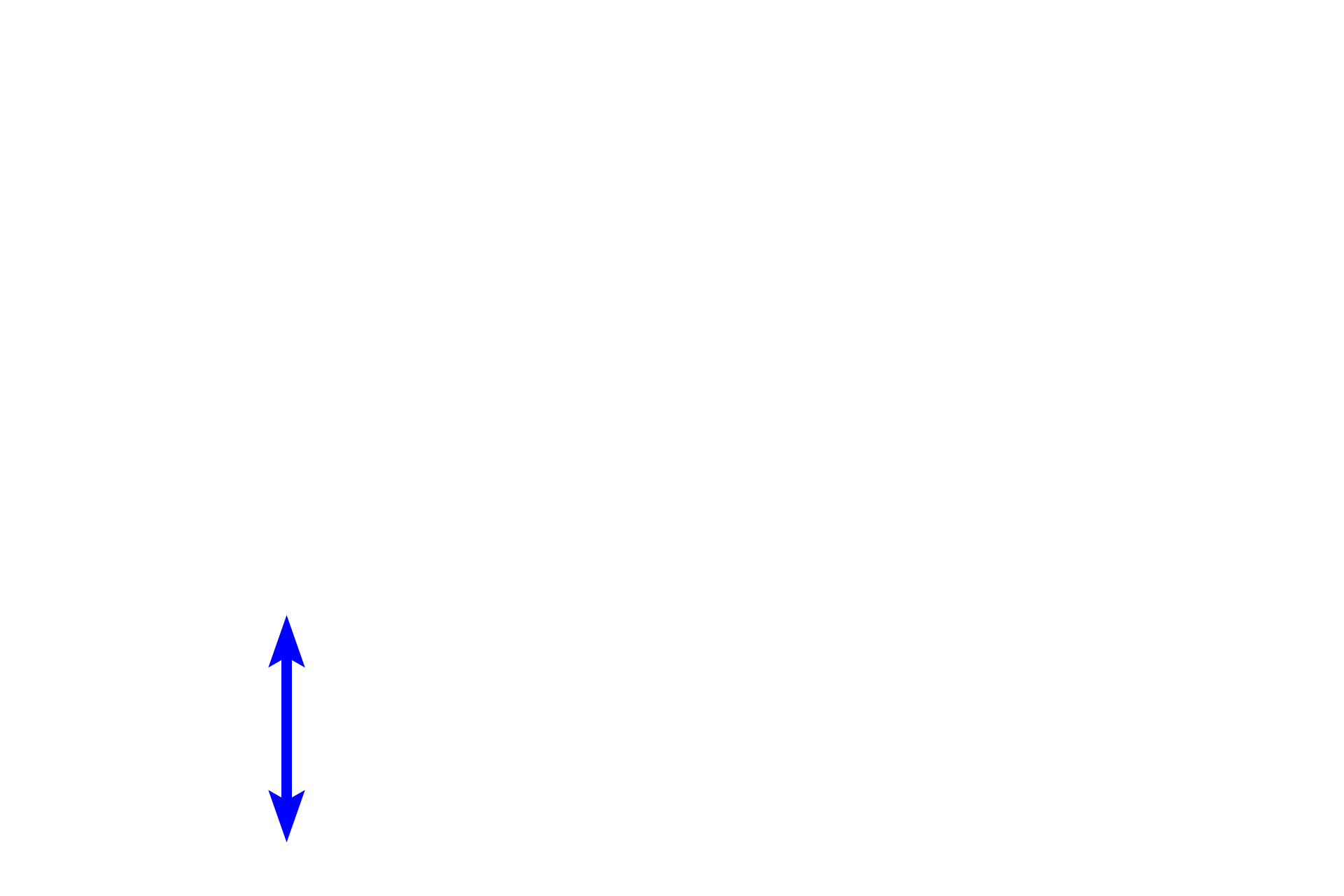 Muscularis externa <p>A section of the jejunum displays the four layers of the small intestine (mucosa, submucosa, muscularis externa and serosa), including structures that increase surface area, villi and plicae circulares. Villi have a core of lamina propria covered by the intestinal epithelium, including microvilli on absorptive cells. Each plica has a core of submucosa that is overlain by all mucosal layers, including villi.  Jejunum, 40x</p>
