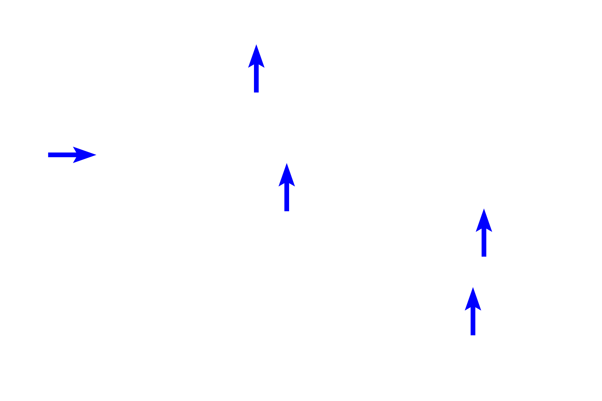  - Villi <p>A section of the jejunum displays the four layers of the small intestine (mucosa, submucosa, muscularis externa and serosa), including structures that increase surface area, villi and plicae circulares. Villi have a core of lamina propria covered by the intestinal epithelium, including microvilli on absorptive cells. Each plica has a core of submucosa that is overlain by all mucosal layers, including villi.  Jejunum, 40x</p>

