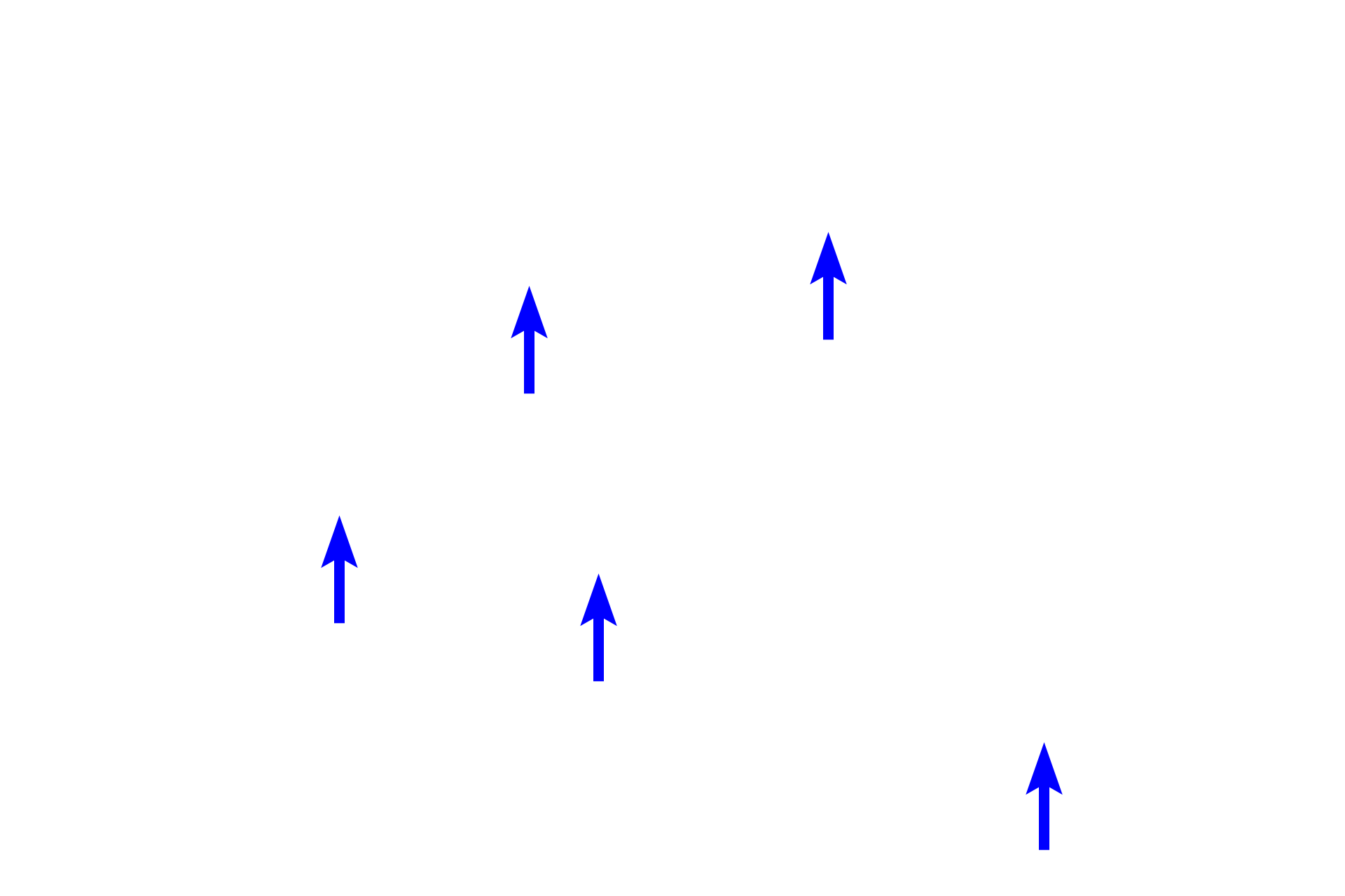  - Intestinal glands <p>A section of the jejunum displays the four layers of the small intestine (mucosa, submucosa, muscularis externa and serosa), including structures that increase surface area, villi and plicae circulares. Villi have a core of lamina propria covered by the intestinal epithelium, including microvilli on absorptive cells. Each plica has a core of submucosa that is overlain by all mucosal layers, including villi.  Jejunum, 40x</p>
