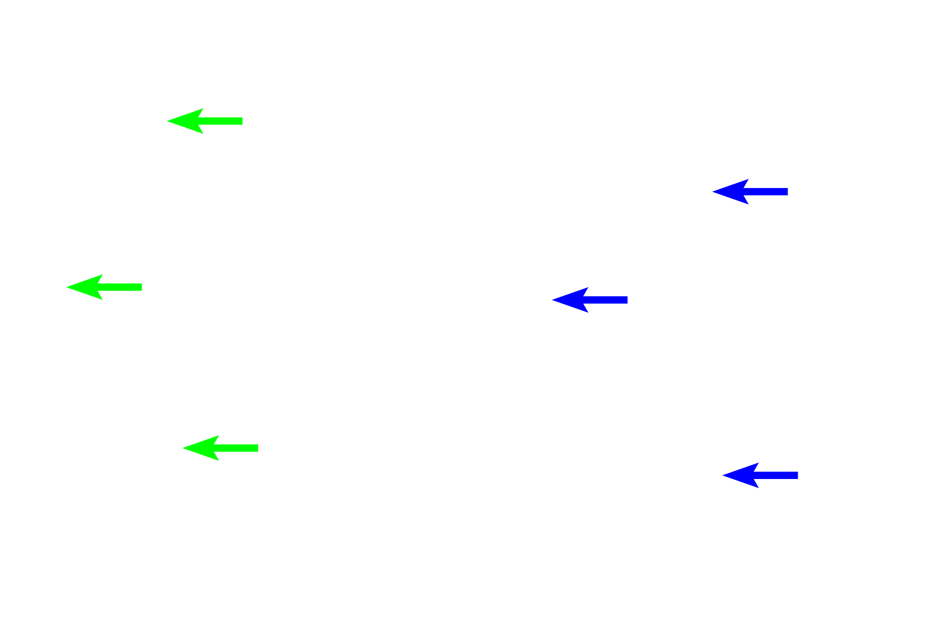  - Lamina propria <p>The mucosa consists of a simple columnar epithelium, a lamina propria of loose connective tissue and a muscularis mucosae.  Between the villi, the epithelium extends into the lamina propria forming intestinal glands, also known as crypts of Lieberkuhn.  Intestinal glands extend down to the muscularis mucosae. </p>
