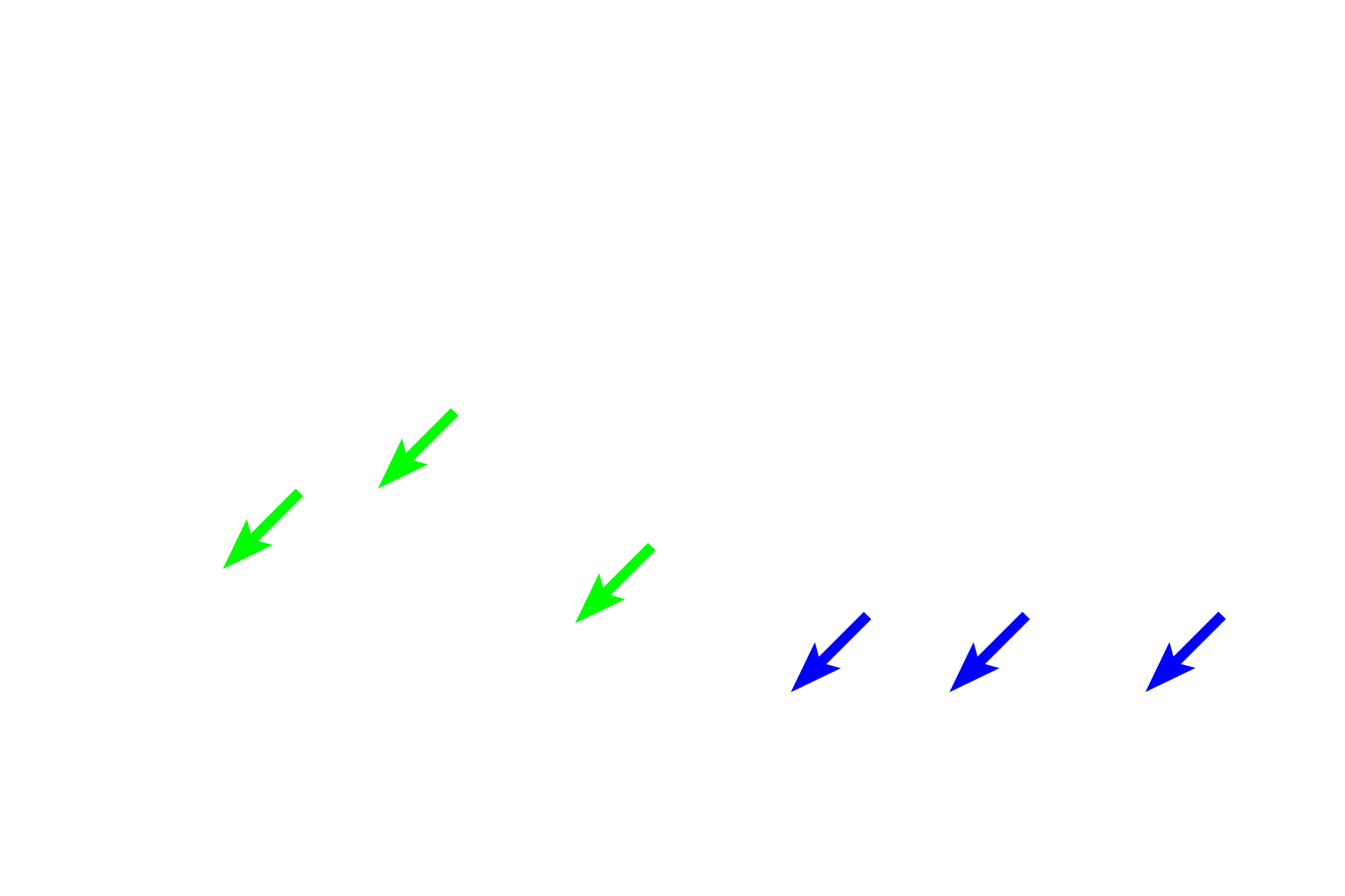  -- Intestinal glands <p>The mucosa consists of a simple columnar epithelium, a lamina propria of loose connective tissue and a muscularis mucosae.  Between the villi, the epithelium extends into the lamina propria forming intestinal glands, also known as crypts of Lieberkuhn.  Intestinal glands extend down to the muscularis mucosae. </p>
