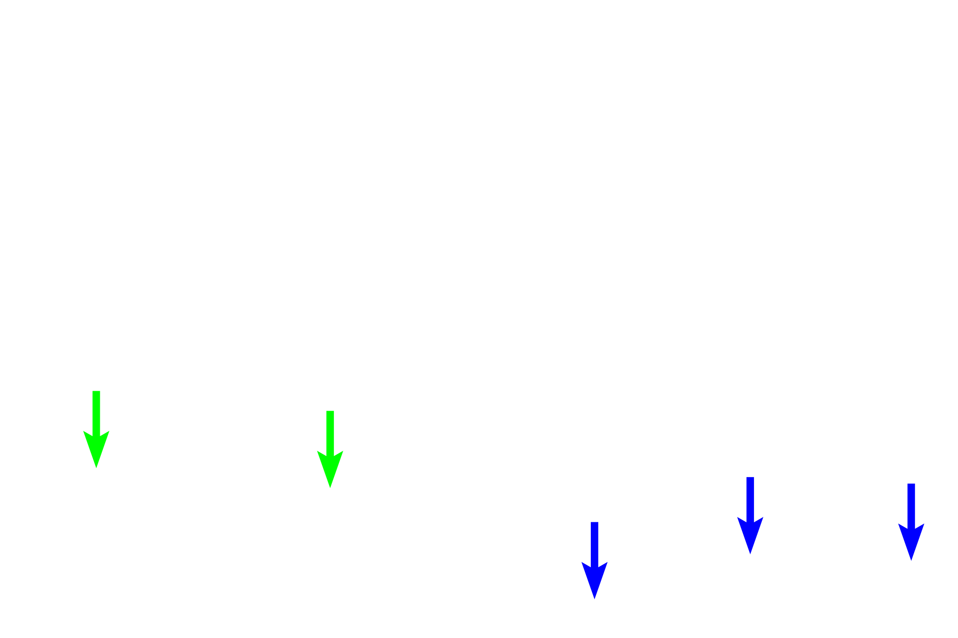  - Muscularis mucosae <p>The mucosa consists of a simple columnar epithelium, a lamina propria of loose connective tissue and a muscularis mucosae.  Between the villi, the epithelium extends into the lamina propria forming intestinal glands, also known as crypts of Lieberkuhn.  Intestinal glands extend down to the muscularis mucosae. </p>
