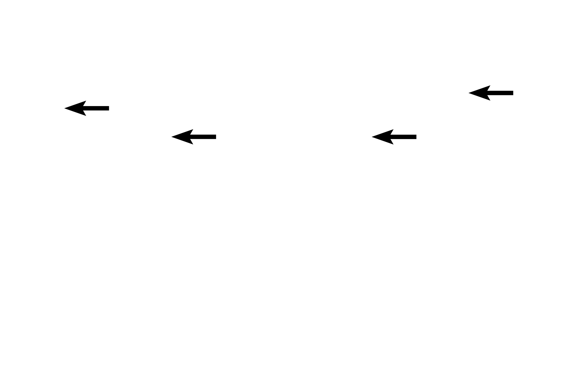  - Lacteals > <p>Lacteals are blind-ended lymphatic capillaries that extend into each villus.  They function in fat absorption.</p>
