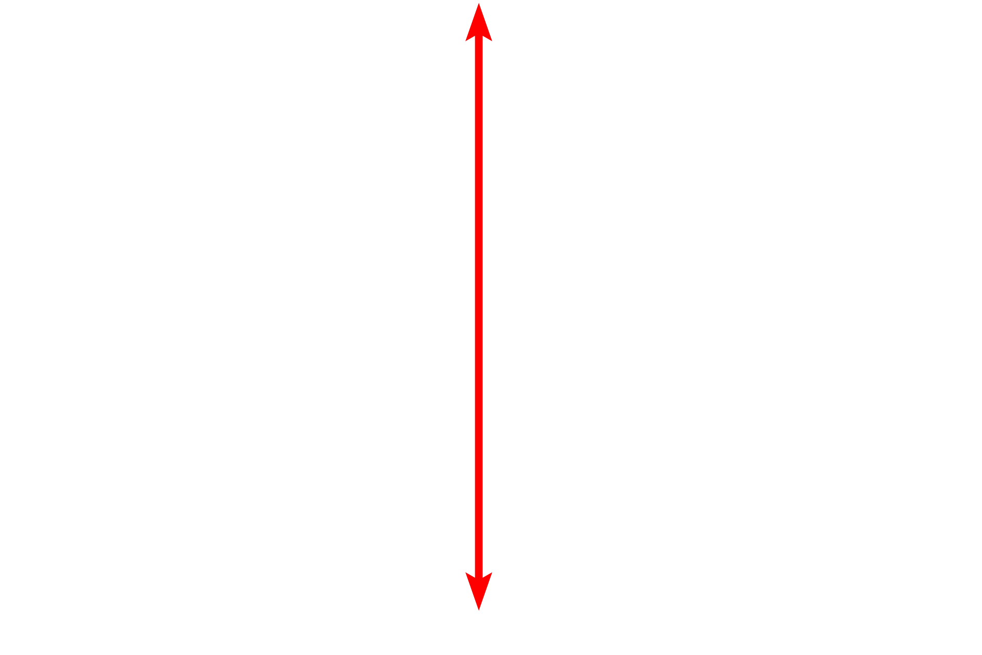 Mucosa <p>Epithelial invaginations into the lamina propria of the small intestine form the intestinal glands, also known as the glands or crypts of Lieberkuhn.  The bases of these glands extend down to the muscularis mucosae.  Intestinal glands contain goblet cells, absorptive cells, Paneth cells, enteroendocrine (DNES) cells and stem cells.  400x</p>
