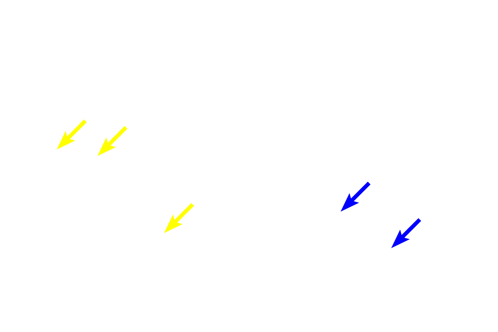  - Paneth cells >  <p>Paneth cells are located primarily at the bases of intestinal glands and display bright red granules adjacent to the lumen.  Paneth cells secrete lysozyme that digests bacterial cell walls and helps regulate the normal bacterial flora. </p>
