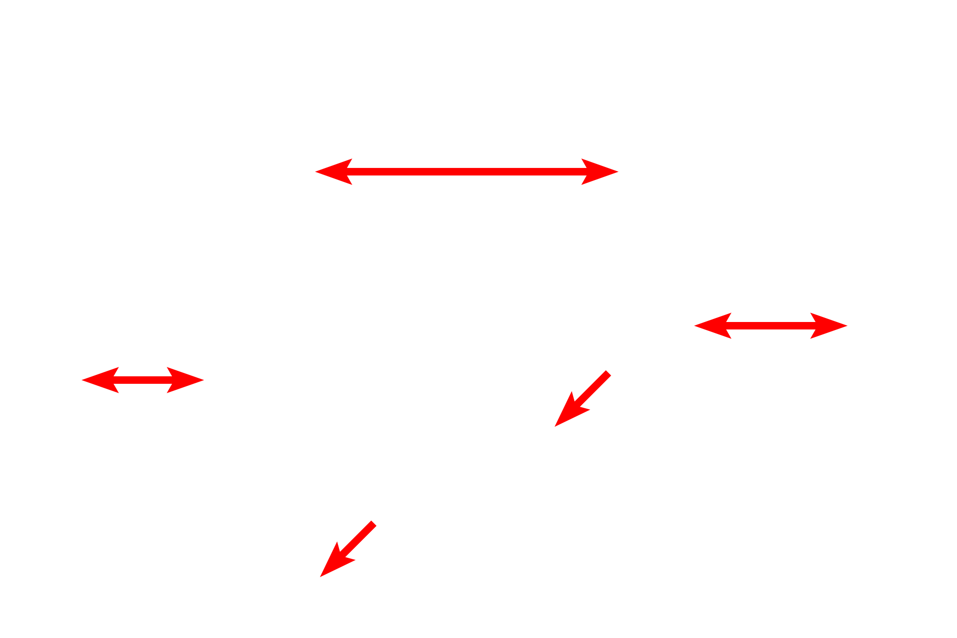 Lamina propria <p>Lacteals, blind-ended lymphatic capillaries located in the lamina propria of villi, are present throughout the small intestine, but are more numerous in the jejunum and ileum.  Lacteals function in the absorption and transport dietary lipids by absorbing lipoprotein particles, called chylomicrons, produced by the enterocytes.  The lacteals in this image are abnormally distended.  300x</p>
