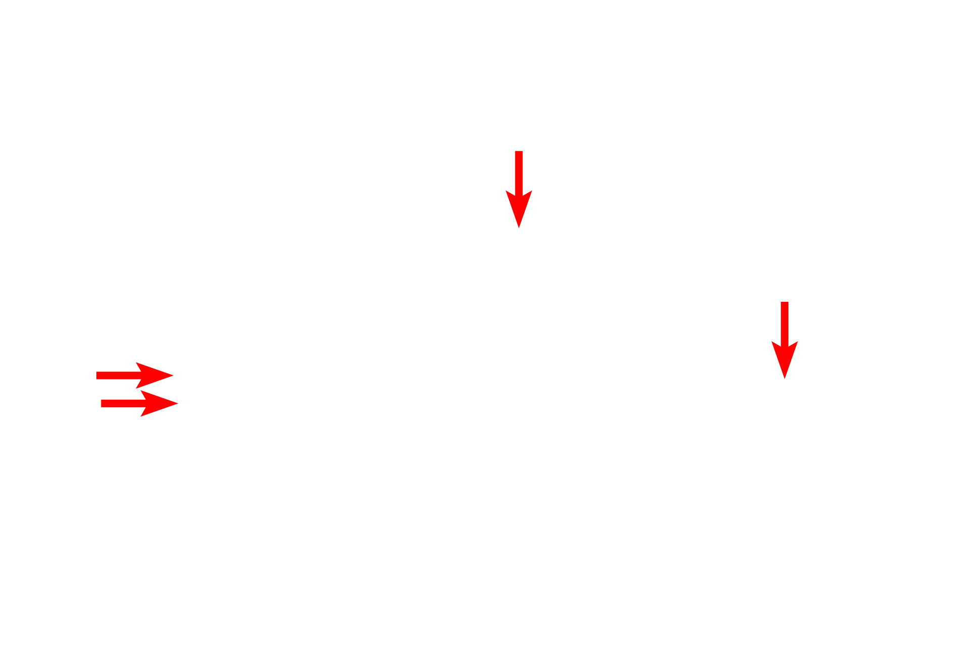  - Endothelium <p>Lacteals are lined by a simple squamous epithelium called endothelium.</p>
