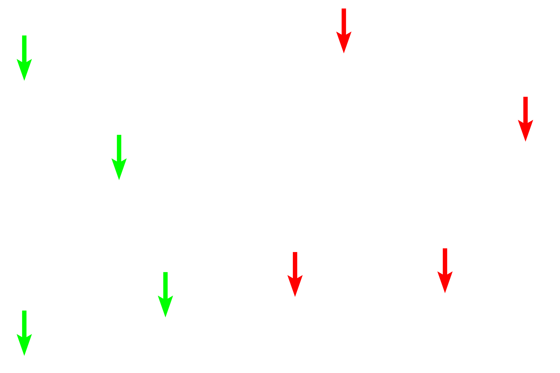 Cells in the meshwork <p>The cells in lymphoid nodules, lymph nodes, spleen and bone marrow are supported by a connective tissue stroma composed of reticular connective tissue.  Reticular connective tissue consists of reticular fibers composed of Type III collagen and the reticular cells that produce them.  Reticular fibers branch, forming a meshwork that supports macrophages and lymphocytes while allowing fluid to readily percolate through the tissue for optimal monitoring by the immune cells.  Reticular fibers are not visible with H & E (left images), they require special stains like the silver stain shown here (right). Lymph node, 400x (l); 800x (r and inset) </p>
