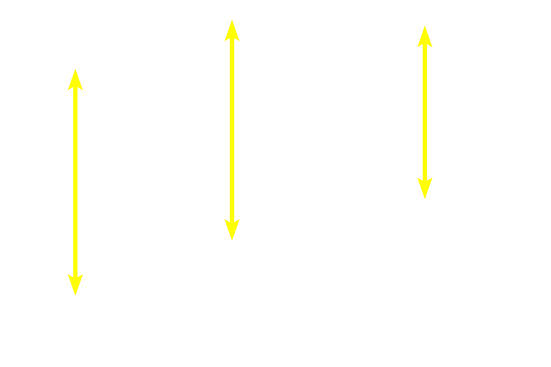 Intestinal villi <p>Diffuse lymphoid tissue consists of scattered immune cells (lymphocytes and macrophages) that monitor the tissue fluid around them for the presence of foreign antigens.  Antigen detection initiates an adaptive immune response as well as recruitment of additional B and T lymphocytes, leading to the formation of lymphoid nodules, discrete clusters of lymphocytes in the lamina propria.</p>
