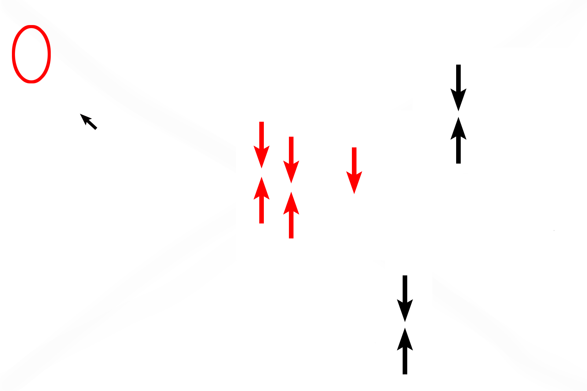 Tunica albuginea > <p>The testis is covered by a dense layer of connective tissue, the tunica albuginea (black arrows).  Additionally, this layer protrudes into the testis at its posterior border, forming the mediastinum (red arrows and red oval in the illustration).  In the adult the mediastinum is flattened against the posterior wall of the testis, as shown in the illustration. </p>
