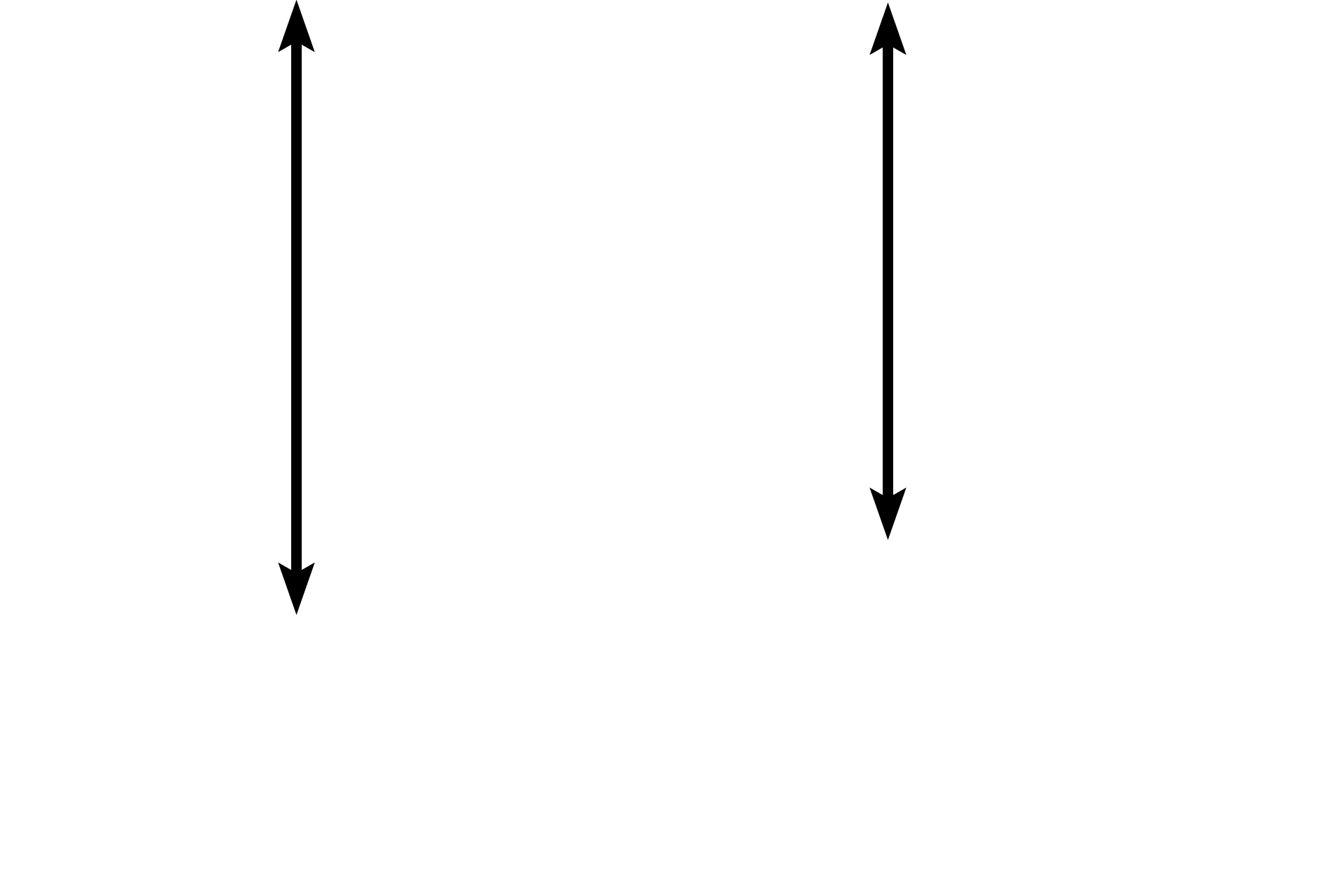 Testis proper <p>The processes vaginalis is a remnant of the peritoneal space that precedes the testis during its descent into the scrotum.  The space is lined by the tunica vaginalis, a serous membrane, with visceral and parietal layers.  Like all serosas, the tunica vaginalis is composed of connective tissue covered by a mesothelium (simple squamous epithelium). The parietal layer lines the inner surface of the scrotum; the visceral layer covers the tunica albuginea, the dense connective tissue surrounding the testis proper. Immature testis, 100x</p>
