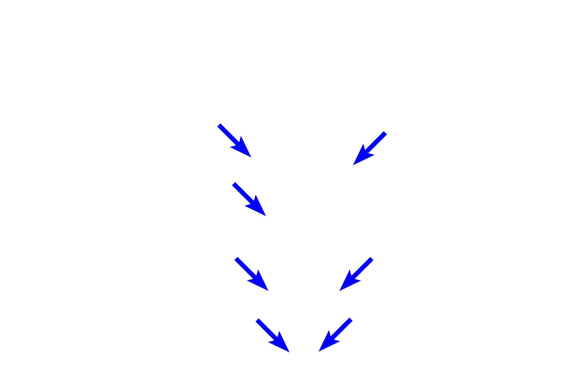 Periodontal Ligament > <p>The periodontal ligament anchors the tooth in the socket, protects the tooth by providing a shock absorber, and provides vascular supply and nutrients to the tooth.  It also contains inflammatory cells, macrophages and lymphocytes, to defend the tooth against infections that result in periodontal disease. The periodontal ligament develops from the ectomesenchymal stem cells of the dental follicle during root formation. </p>
