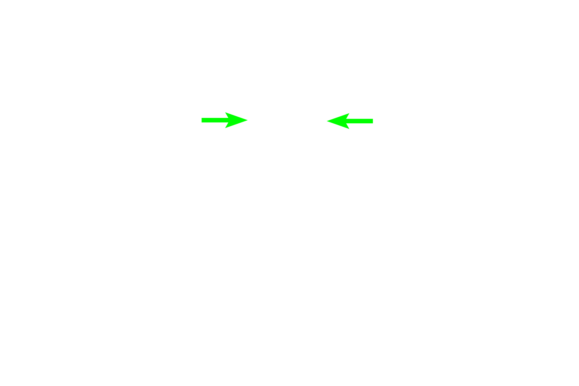  - Cemento-enamel junction <p>Cementum, produced by cementoblasts, forms a thin layer of bone-like tissue extending from the cemento-enamel junction to cover the root of the tooth.  Anchoring collagen fibers of the periodontal ligament, extend from the cementum to the alveolar bone to stabilized the tooth in its socket.</p>
