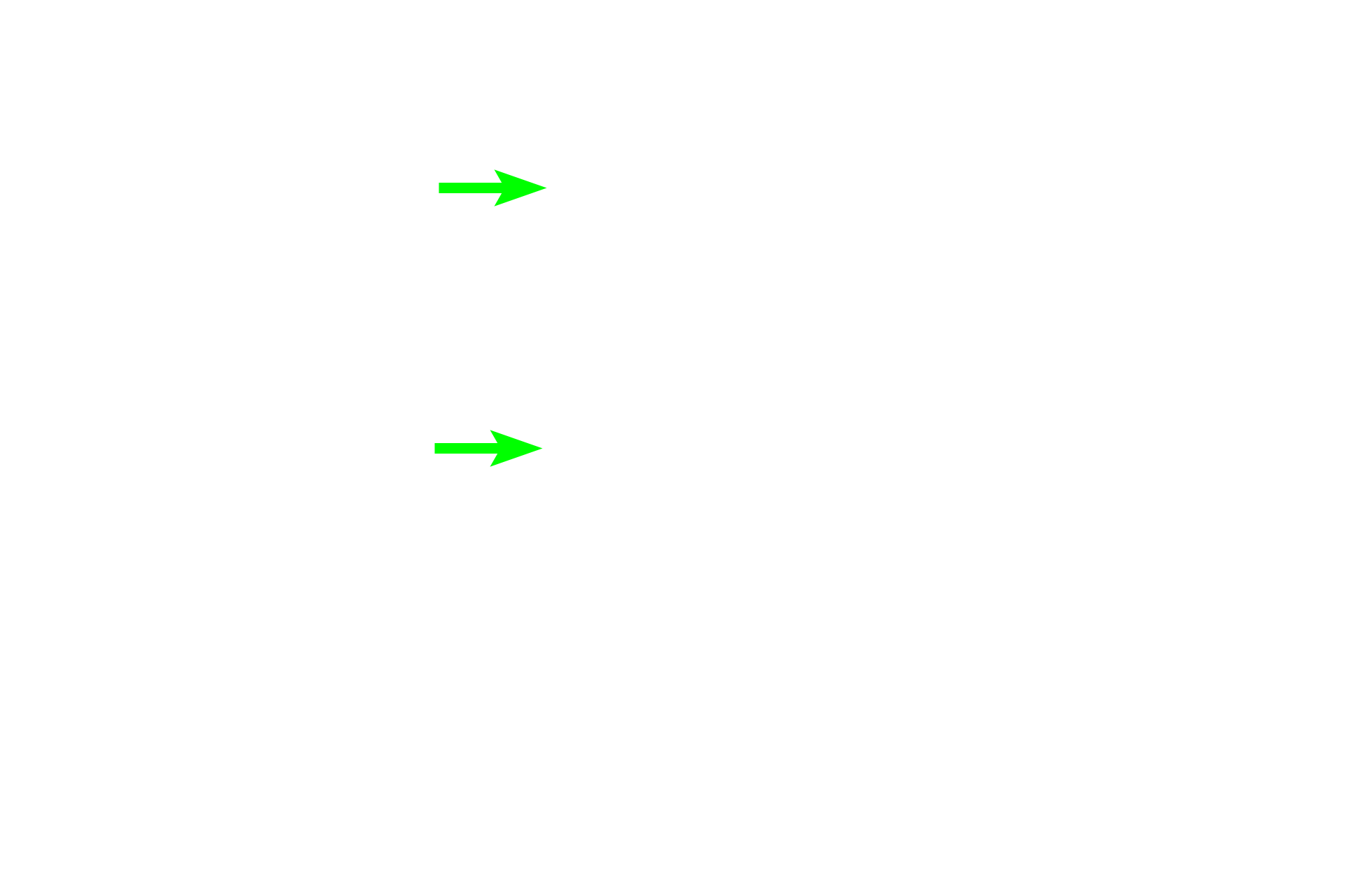  - Cementoblasts <p>Cementum is produced by cementoblasts and forms a thin layer of bone-like tissue extending from the cemento-enamel junction to cover the root of the tooth.  Anchoring collagen fibers of the periodontal ligament, extend from the cementum to the alveolar bone to stabilized the tooth in its socket.  Cementocytes, which maintain the cementum, are visible in this layer.</p>
