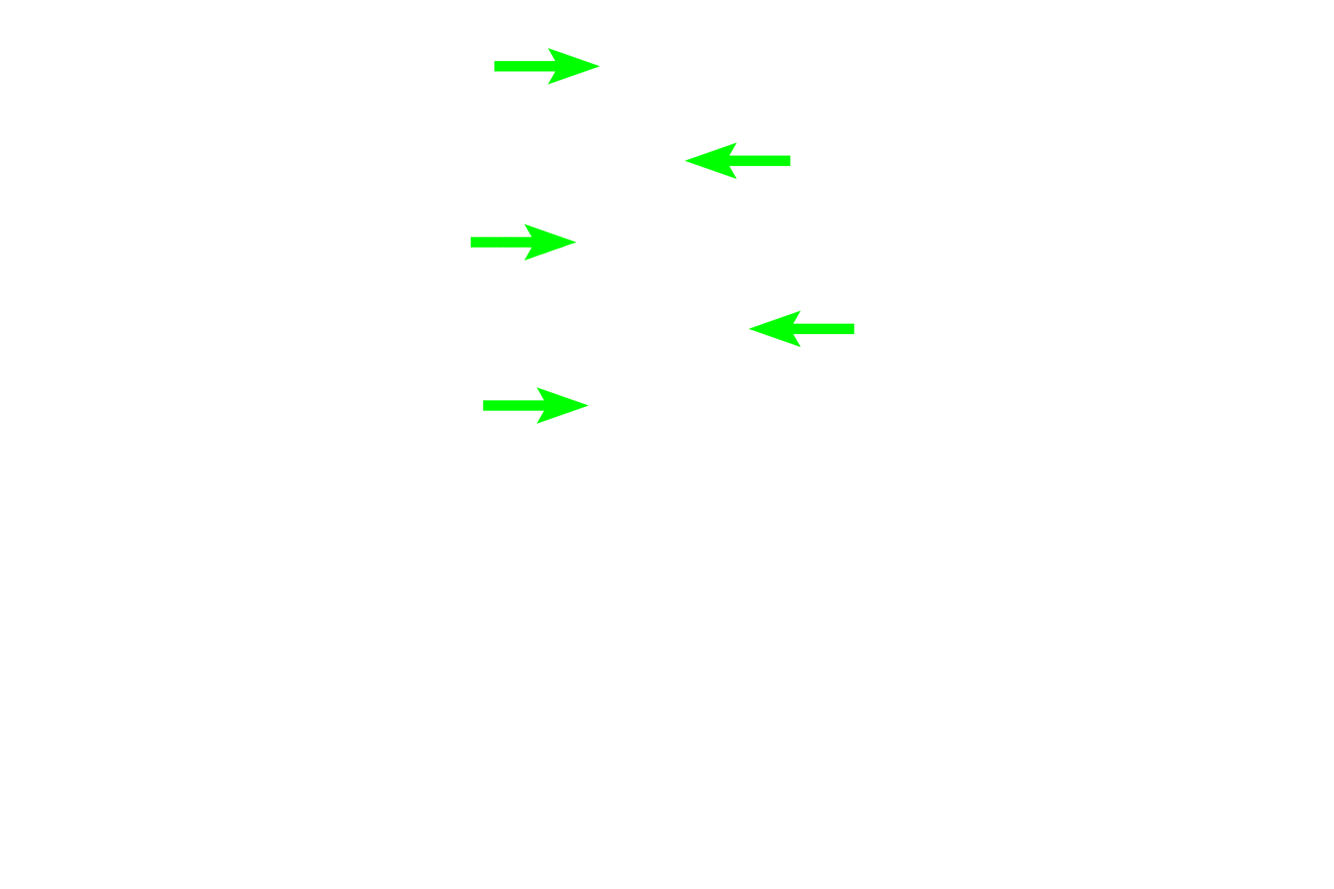 Dentin > <p>Dentin is the first hard tissue deposited during tooth development and makes up the majority of the hard tissue of the tooth.  Dentin is produced by odontoblasts, which, like ameloblasts, secrete an organic matrix that rapidly becomes mineralized with hydroxyapatite crystals.</p>
