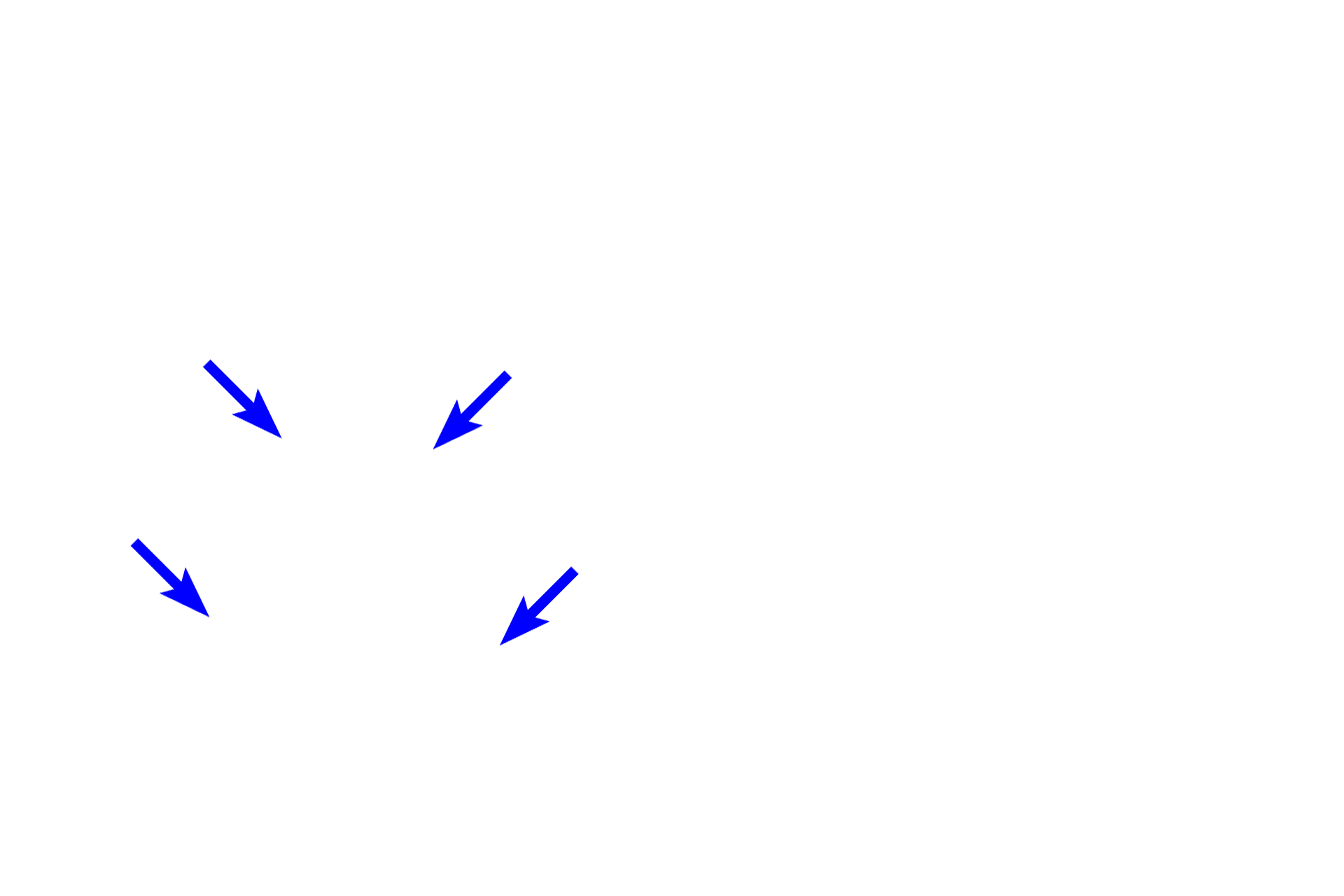 Inner enamel epithelium > <p>The inner enamel epithelium consists of columnar ectodermal cells that form the inner surface of the enamel organ in close proximity to the ectomesenchymal cells of the papilla.  The cells differentiate into ameloblasts that secrete enamel.</p>
