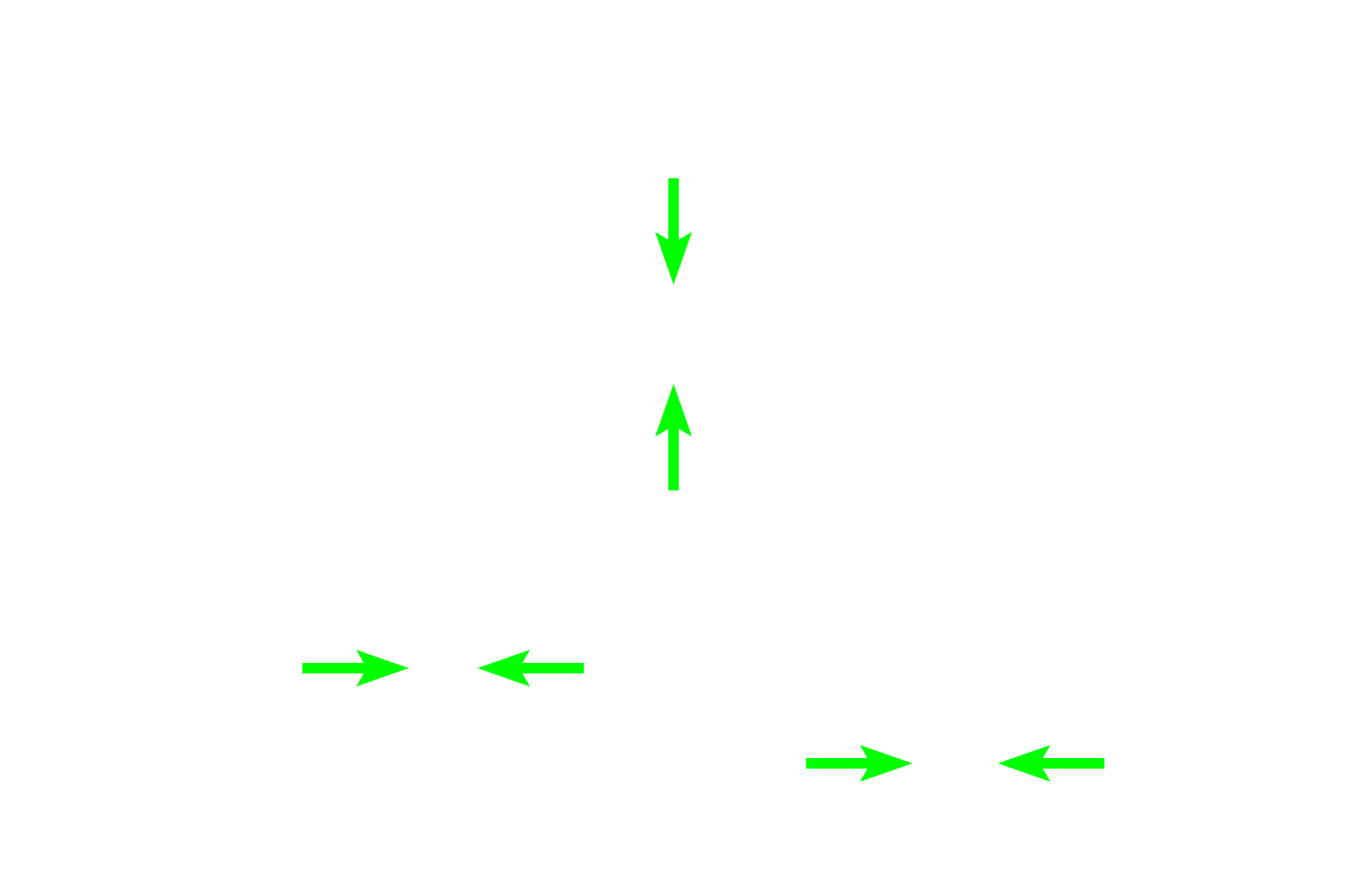 Inner enamel epithelium >  <p>The inner enamel epithelium consists of columnar ectodermal cells that form the inner surface of the enamel organ.  They are<br />
 in close proximity to the ectomesenchymal cells of the papilla.  During the late bell stage, these cells first differentiate into pre-ameloblasts and then into fully differentiated ameloblasts, capable of depositing enamel. In this micrograph, pre-ameloblasts are indistinguishable from the cells of the inner enamel epithelium.  Final differentiation into ameloblasts has not yet occurred.  </p>
