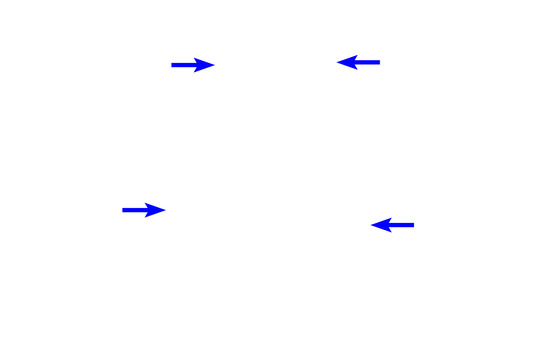  - Outer enamel epithelium >  <p>The cuboidal ectodermal cells on the outer aspect of the enamel organ form the outer enamel epithelium. </p>
