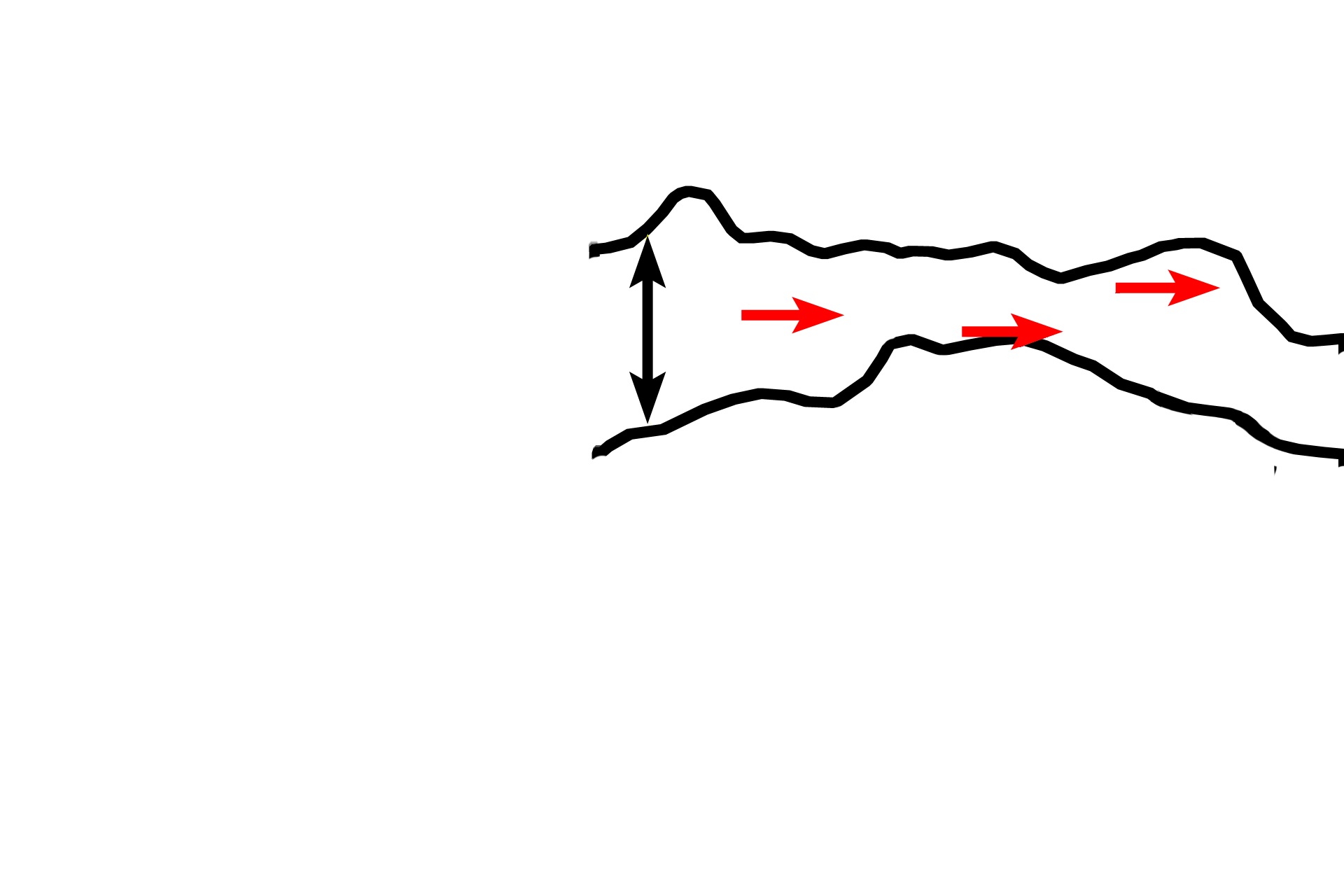 Zone of degeneration > <p>In the zone of degeneration, chondrocytes have died, leaving behind calcified cartilage spicules (red arrows).</p>
