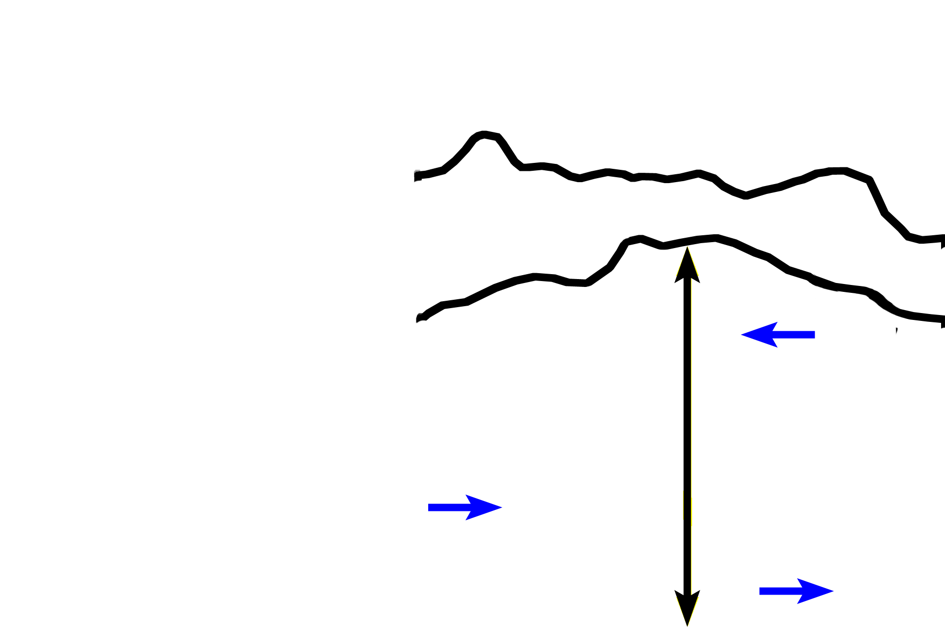 Zone of ossification > <p>In the zone of ossification, osteoblasts deposit woven bone (blue arrows), on the calcified cartilage framework. The distinctly red-staining bone is readily distinguishable from the blue-staining calcified cartilage matrix. Because this bone is replacing cartilage, this type of bone formation called endochondral bone formation.</p>
