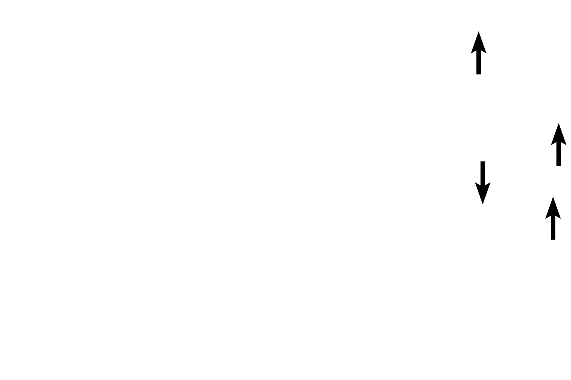 Bone <p>This image demonstrates the entire zonation of the epiphyseal plate. The image is a 90-degree counter-clockwise rotation of the previous images. 200x</p>
