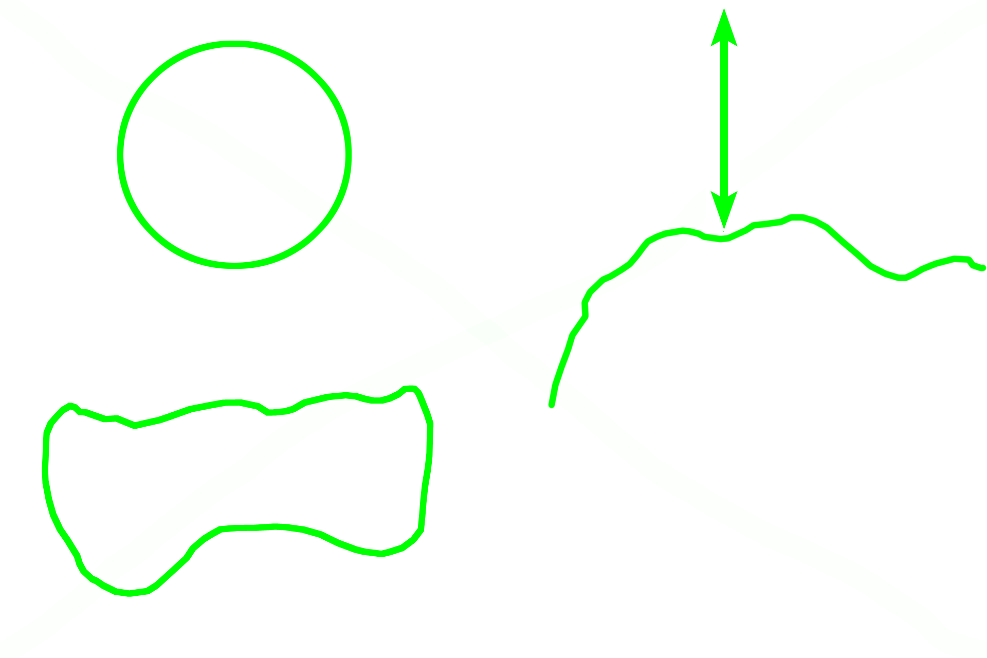 Epiphysis > <p>The epiphysis is the terminal enlargement of a long bone. Its periphery is formed of a thin layer of compact bone, while the interior is spongy bone and red marrow. The proximal epiphysis of the femur has been modified to form a head and neck.</p>
