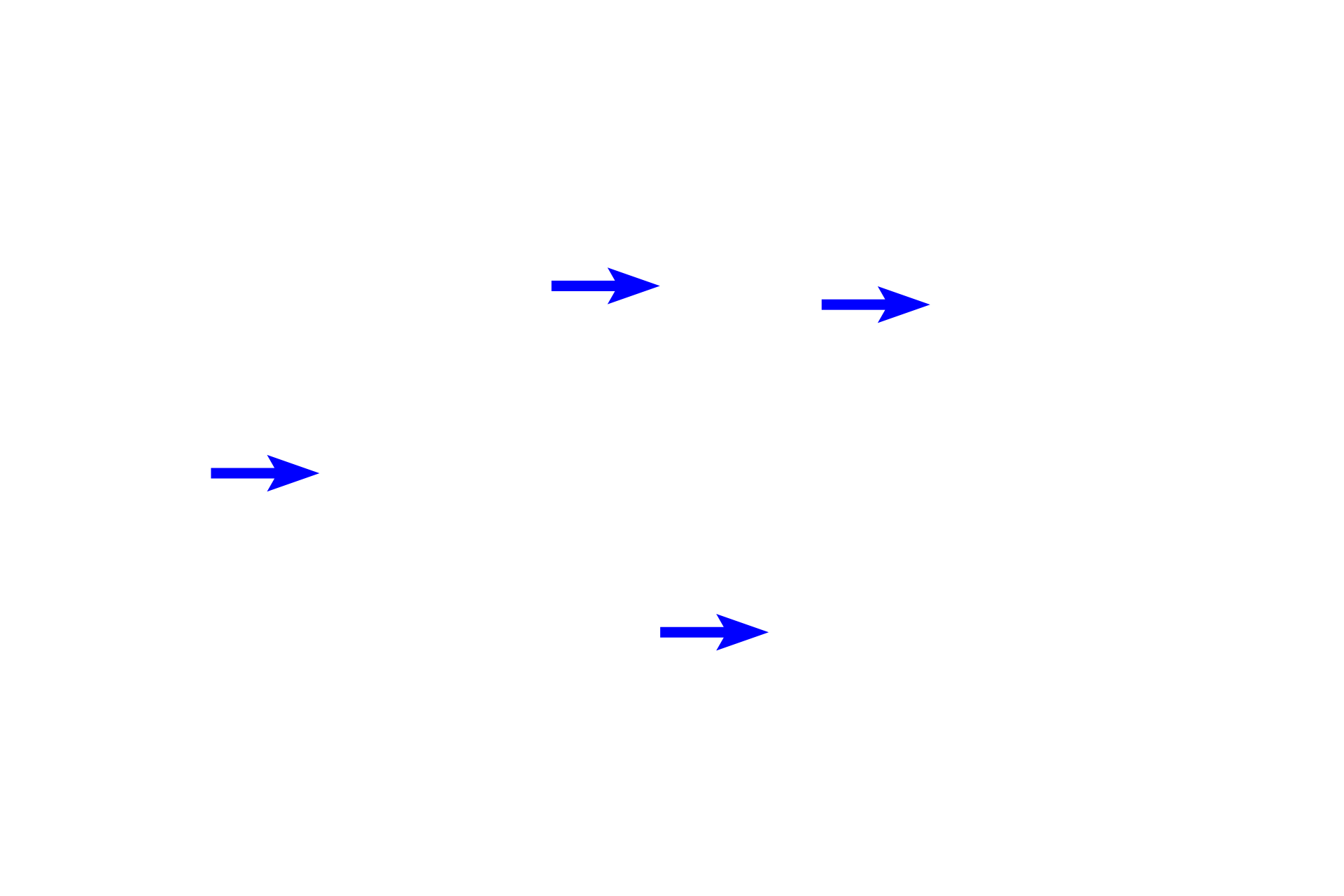 Red marrow > <p>Hemopoietic red bone marrow occupies the spaces between the spicules.</p>
