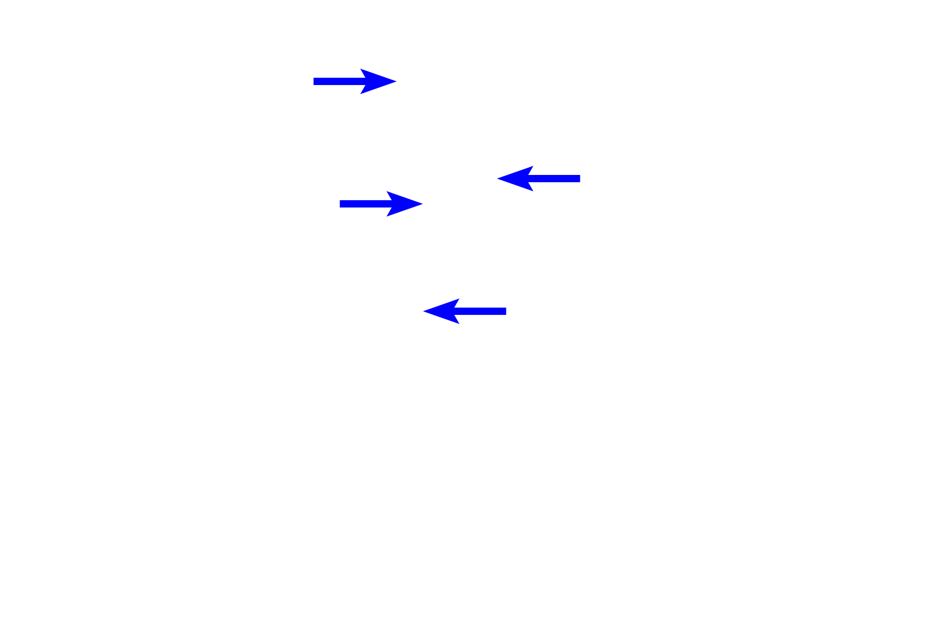 Intramembranously-formed bones >  <p>Bones formed by intramembranous ossification include those of the cranial vault (e.g., frontal and occipital bones), bones of the face (maxilla and mandible) and clavicle.</p>
