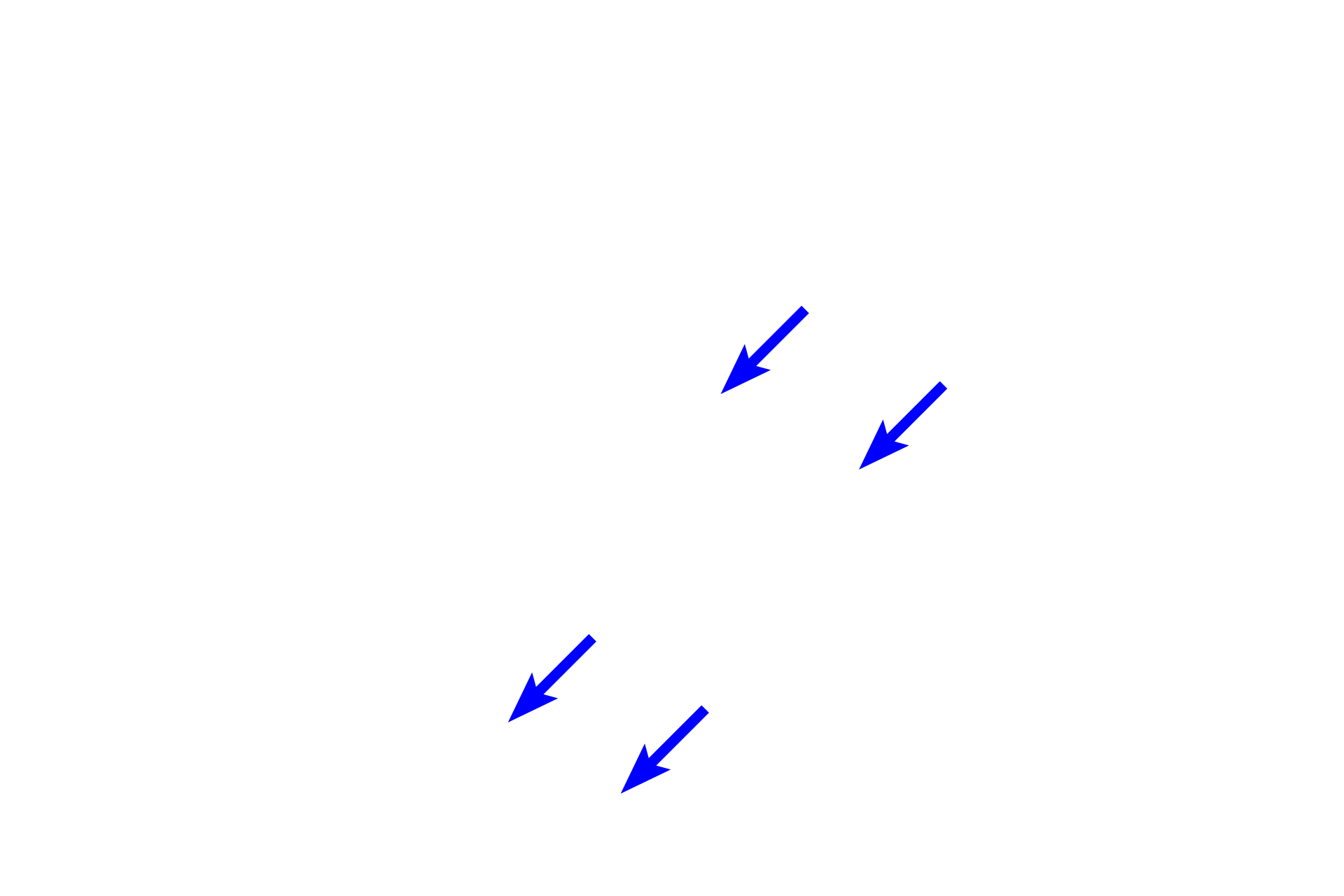  - Epiphyseal plates <p>Portions of the of the original cartilage model are retained as epiphyses. Secondary centers of ossification develop in the epiphyses leaving only a cap of hyaline cartilage, forming the articular cartilages. The epiphyseal plates are located at the junction of the periosteal collar and the epiphysis. </p>
