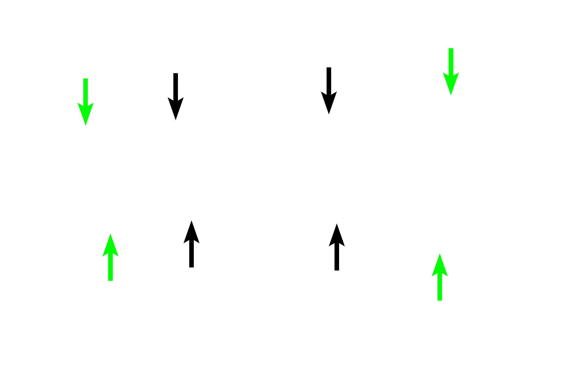 Perichondrium/periosteum > <p>The original, fetal perichondrium (green arrows) continues to cover the hyaline cartilage, while the continuation of the perichondrium over the periosteal band is now the periosteum (black arrows). The periosteum is responsible for the production of the periosteal band.</p>
