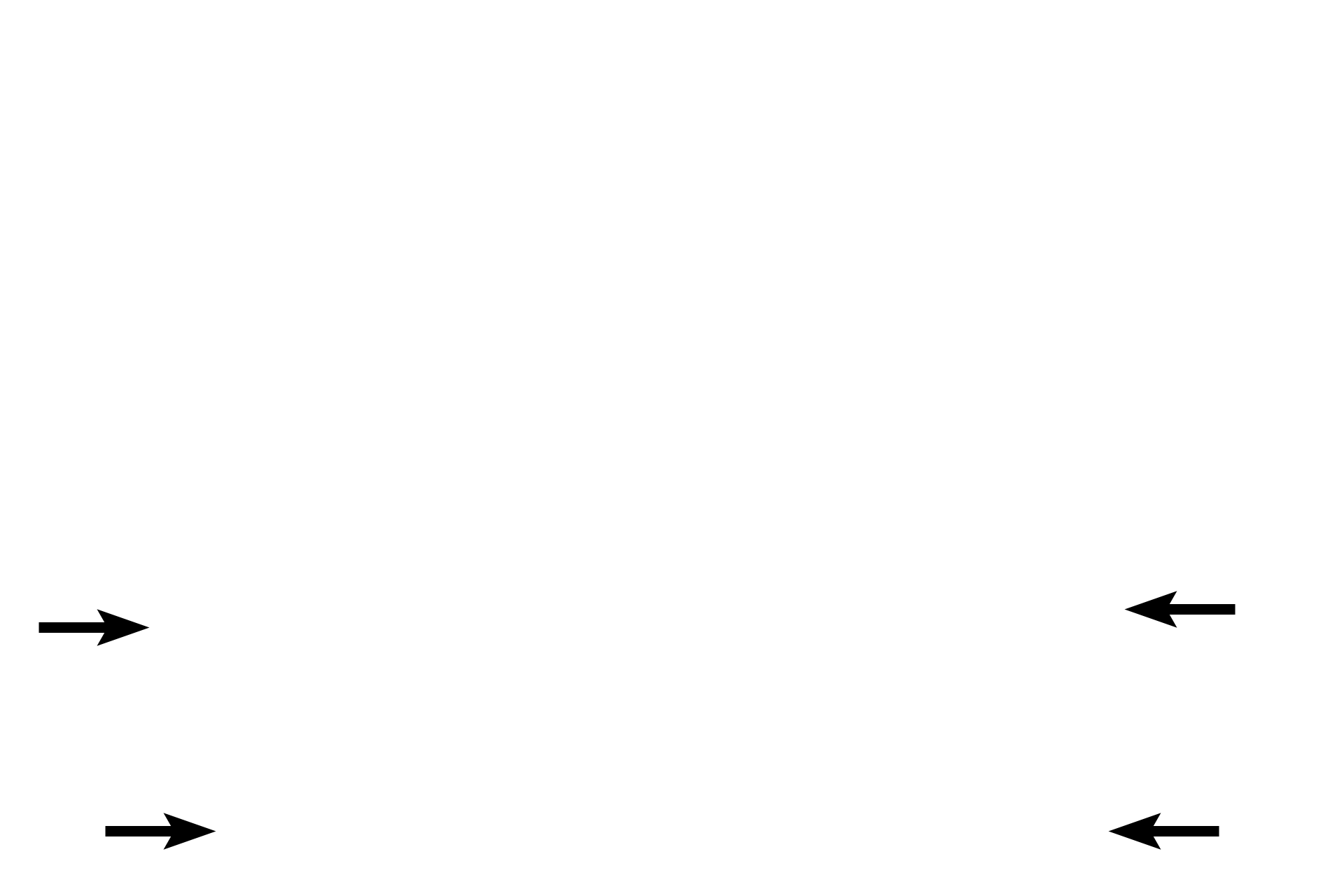 Periosteal collar > <p>The periosteal collar is a cylinder of bone, initially formed by intramembranous ossification by the periosteum.  Addition of bone to the ends of the cylinder by endochondral ossification results in growth of the bone in length. </p>
