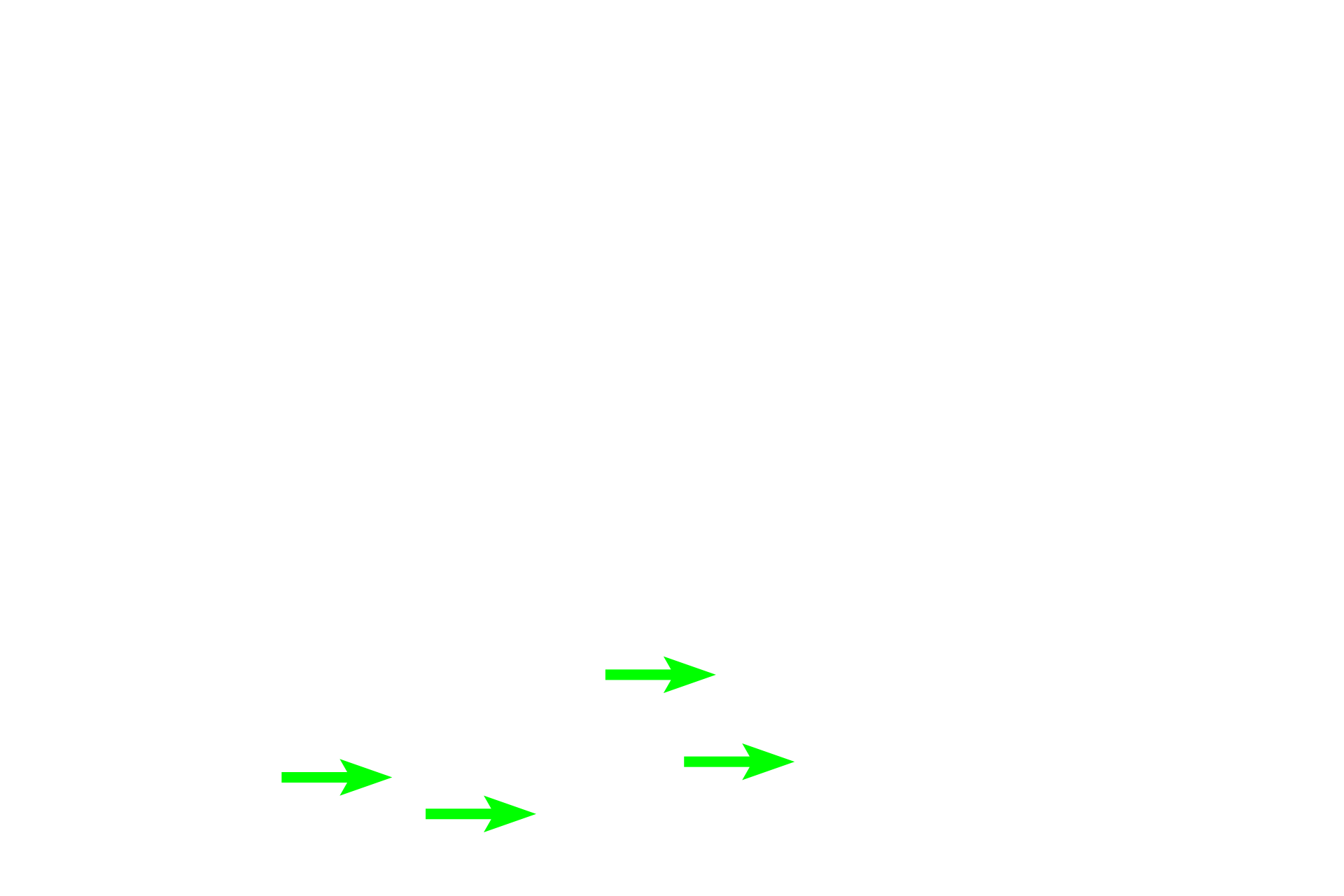 Bone > <p>Bony matrix is deposited on the calcified cartilage spicules by the endosteum lining the interior of the developing bone. Because it stains pink/red, bone is easy to differentiate from the blue, calcified cartilage spicules on which it is deposited.</p>
