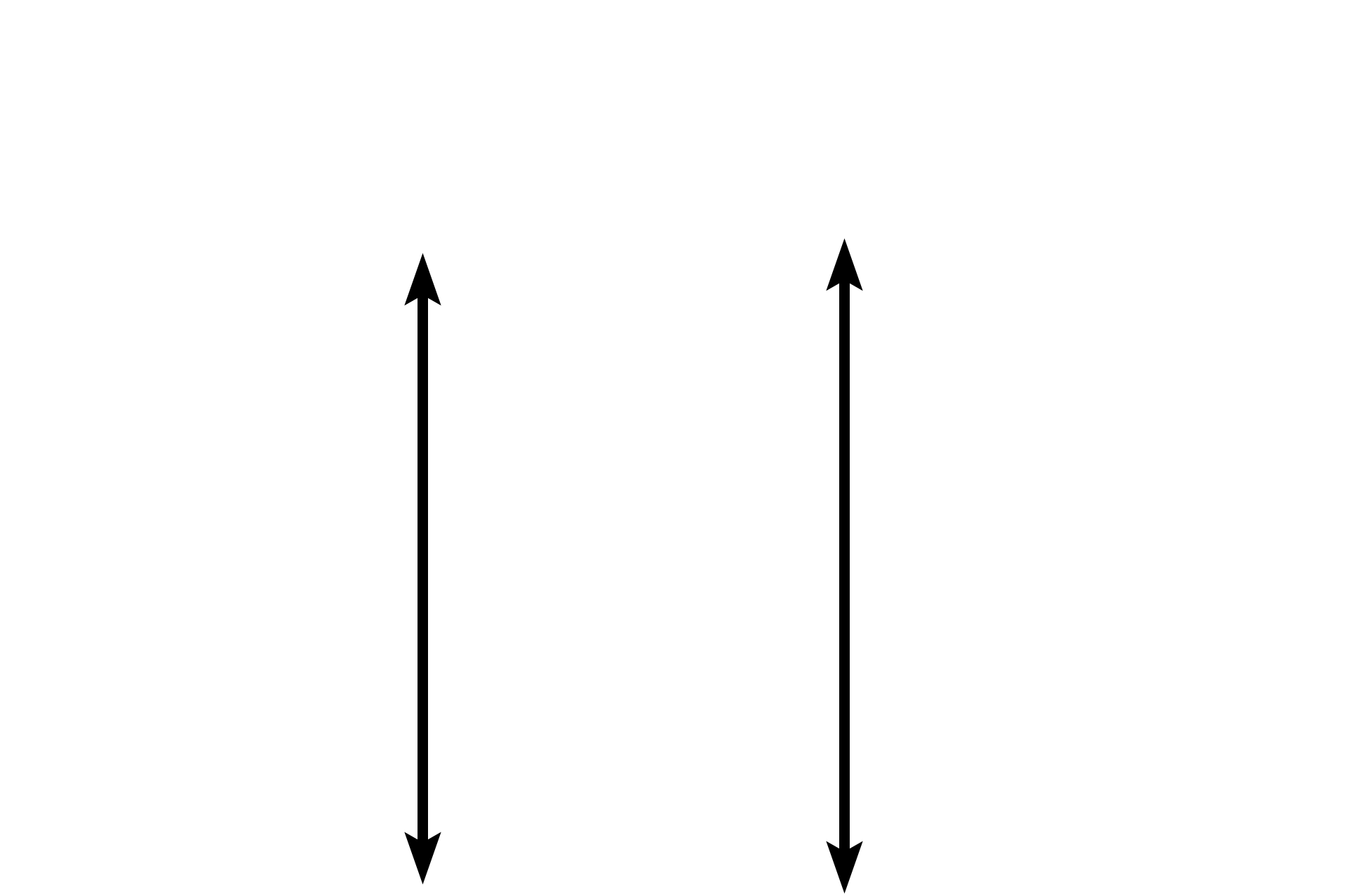Epiphyseal plate > <p>The epiphyseal plate is composed of a series of zones reflecting regressive stages of the chondrocytes. These cells first proliferate, then mature and hypertrophy, which results in the calcification of the cartilage matrix and death of the cartilage cells. Spicules of calcified cartilage, the only remnant of this process, serve as a framework on which bone is deposited.</p>
