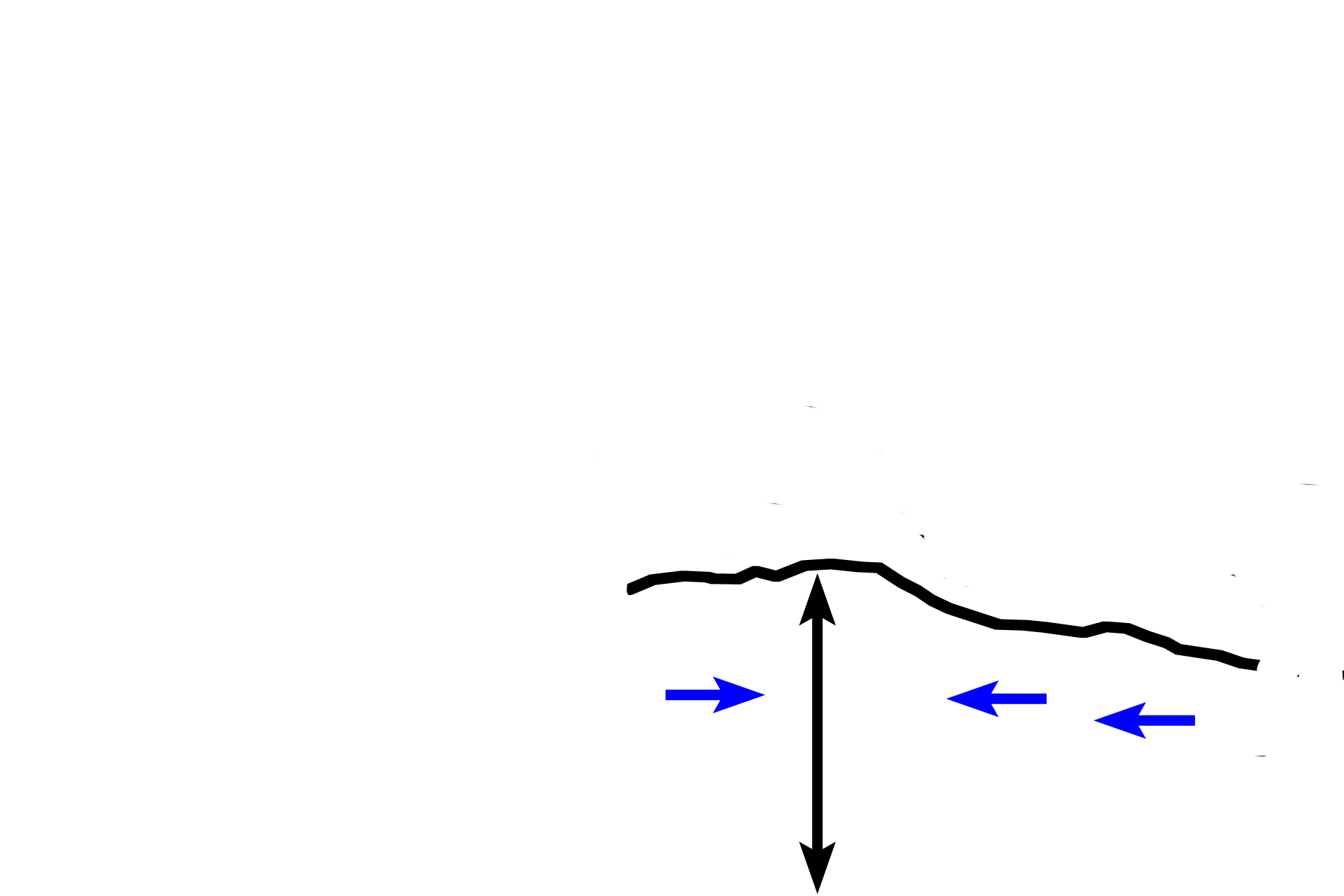 Zone of ossification > <p>The zone of ossification is formed as osteoblasts deposit bone (blue arrows) on the calcified cartilage spicules. The addition of new bone to the ends of the periosteal collar, adds to the length of the diaphysis and elongation of the bone. The bone deposited in the center of the zone is resorbed to maintain the marrow cavity. </p>

