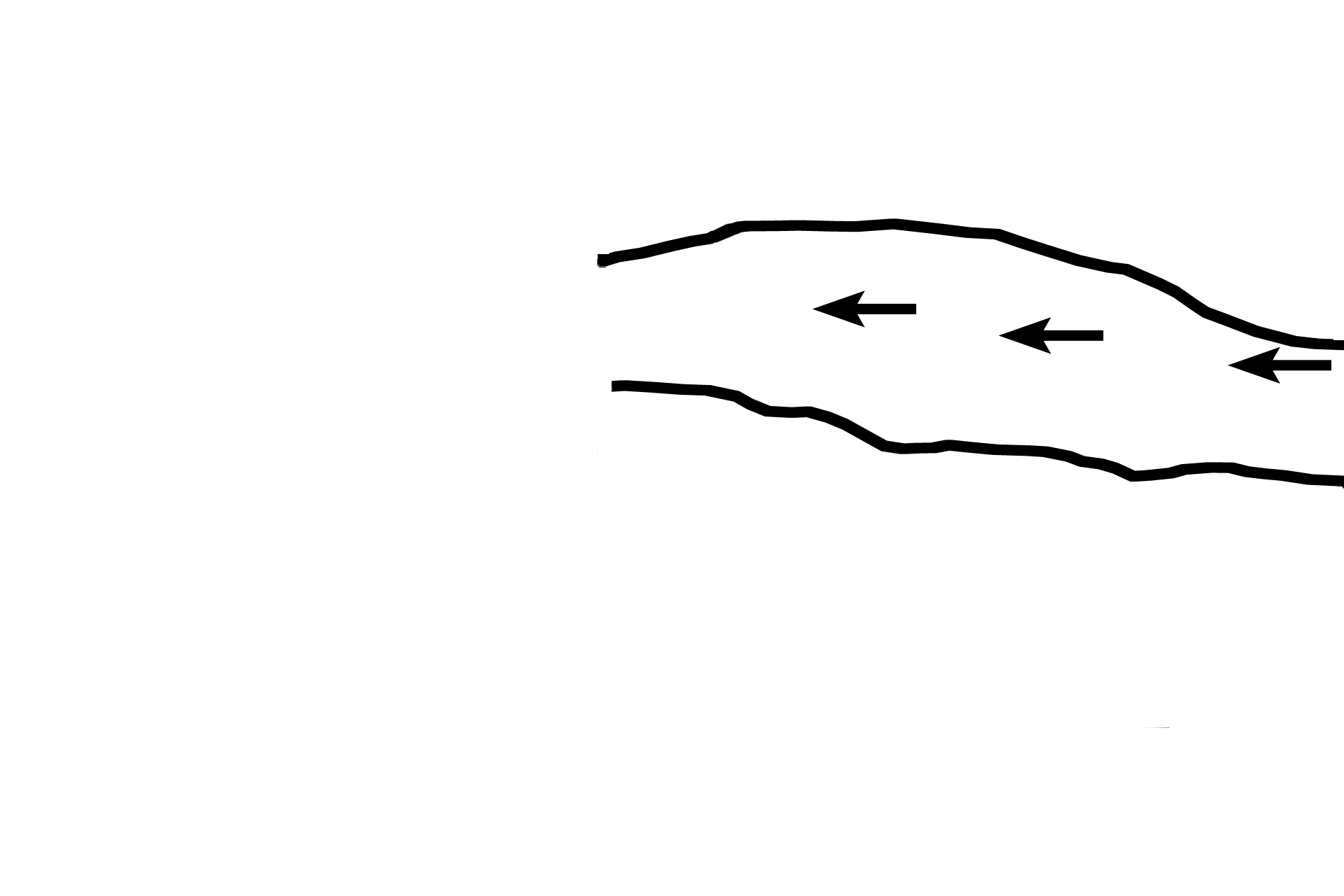 Zone of proliferation > <p>Chondrocytes in the zone of proliferation undergo interstitial growth to maintain the thickness of the plate and well as advancing the epiphysis upwards. Instead of forming spherical isogenous groups, these dividing cells become aligned in rows (arrows), a pattern that results in vertical columns of cartilage matrix between them. Such an orientation guarantees that the calcified cartilage spicules remaining after chondrocyte death will be linearly arranged.</p>
