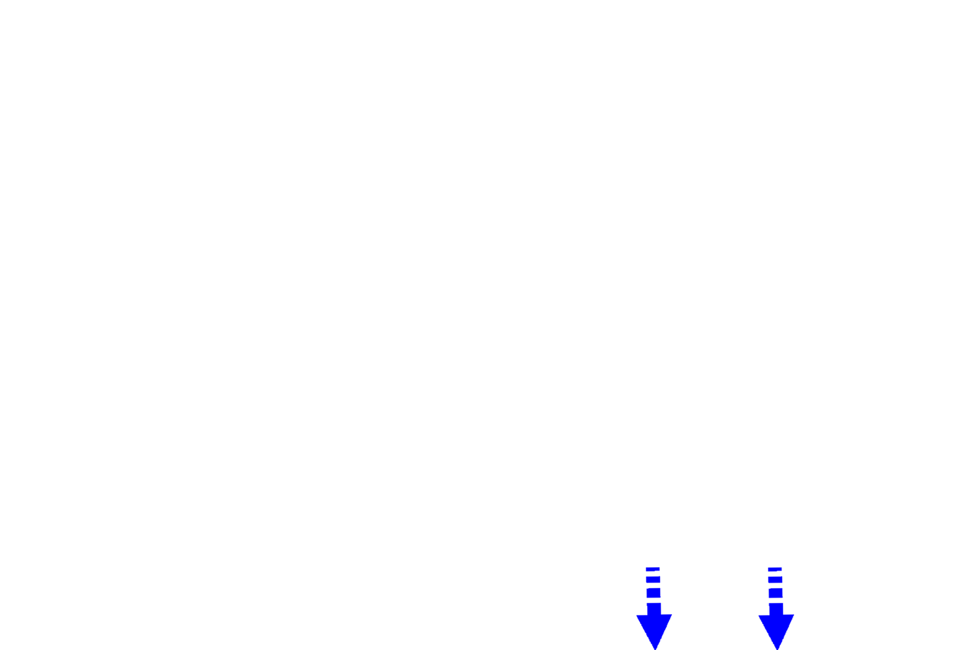 Zone of resorption > <p>This zone is not present in this section; it is located below the zone of ossification. The zone of resorption is formed by the breakdown of much of the newly formed bone/calcified cartilage spicules by osteoclasts. This resorption maintains the marrow cavity.  </p>
