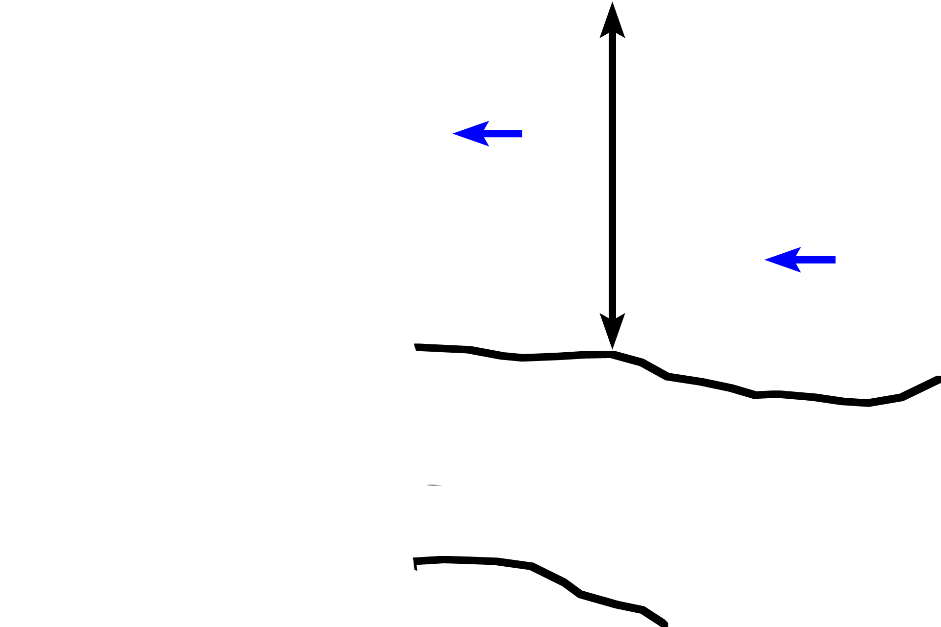Zone of proliferation > <p>At the top of the image in the zone of proliferation, where chondrocytes are dividing to form linear isogenous groups of cells (blue arrows). Linear proliferation maintains the thickness of the epiphyseal plate and advances the epiphysis upwards.</p>
