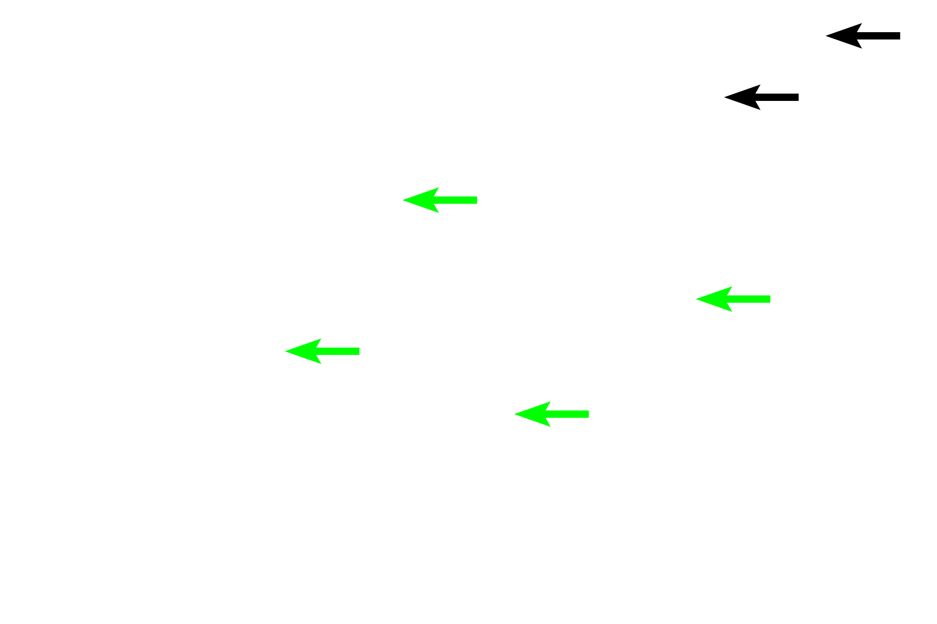  - Epithelium <p>The mucosa of the esophagus is lined by a stratified squamous moist epithelium, that provides a protective, moist surface for the passage of food.  At this level, the muscularis mucosae forms an incomplete layer, but becomes fully developed in the lower regions.</p>
