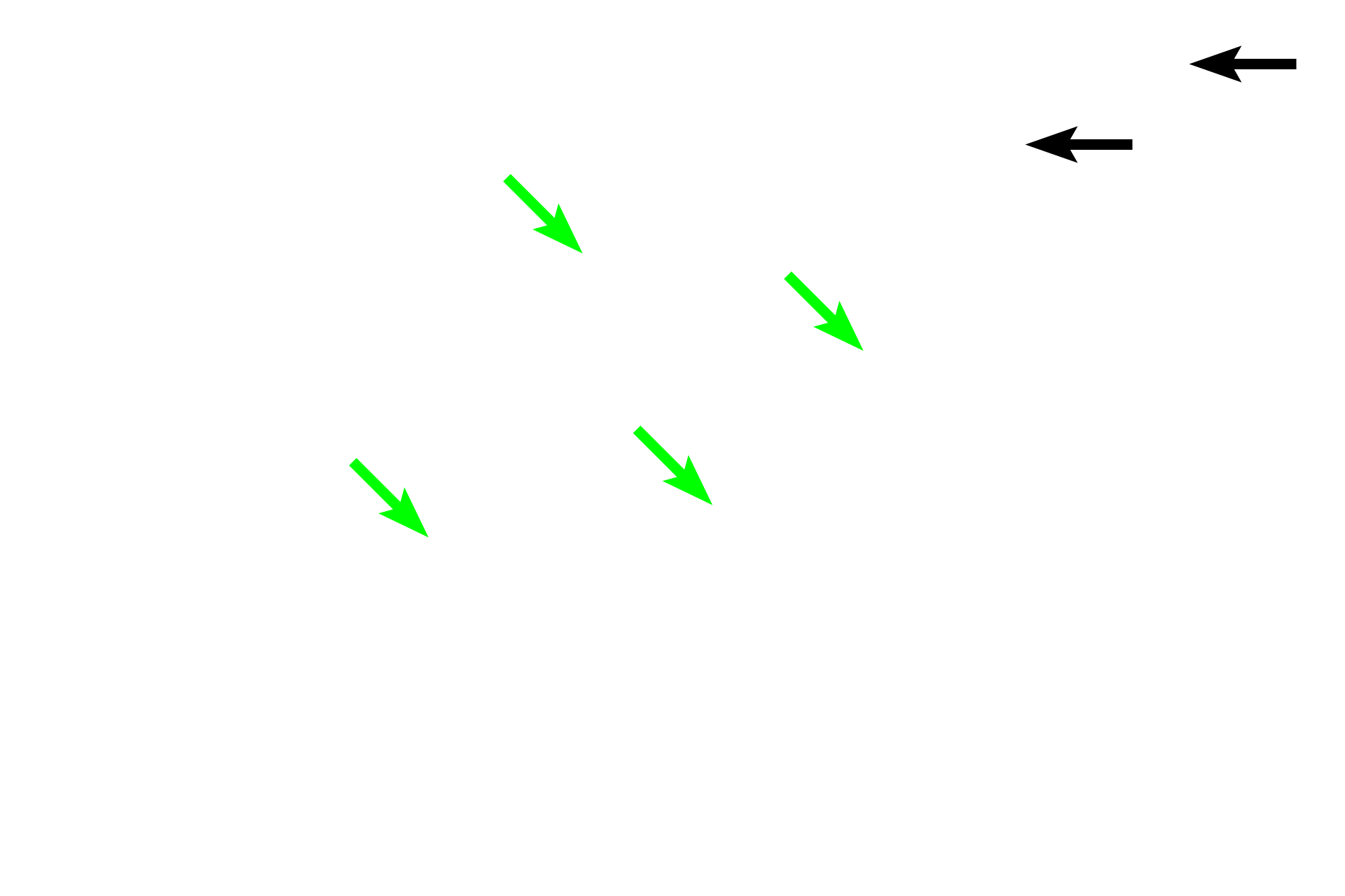  - Lamina propria <p>The mucosa of the esophagus is lined by a stratified squamous moist epithelium, that provides a protective, moist surface for the passage of food.  At this level, the muscularis mucosae forms an incomplete layer, but becomes fully developed in the lower regions.</p>
