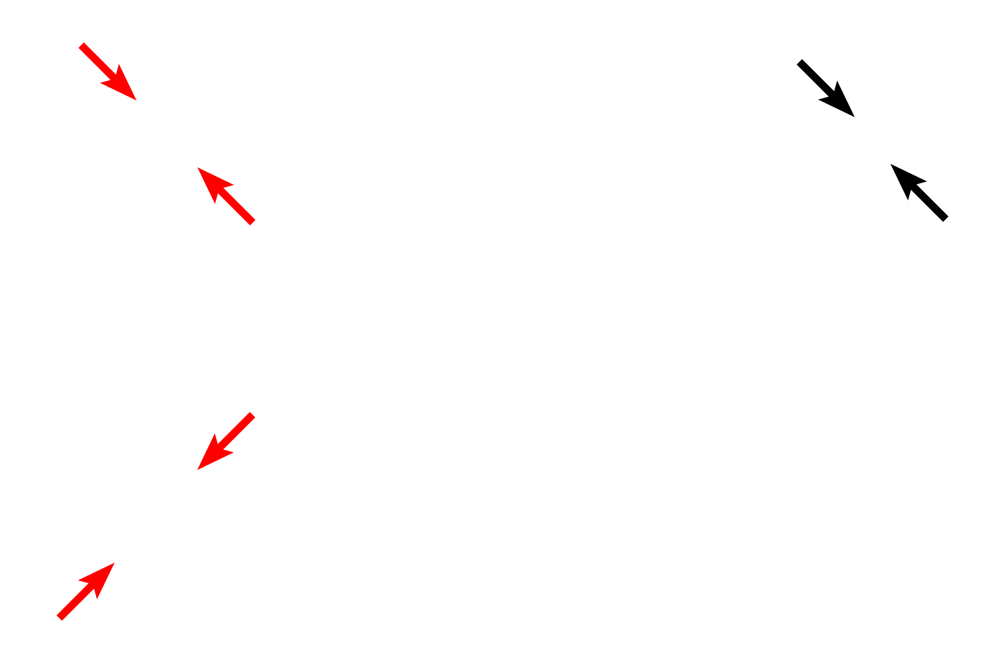 Muscularis externa <p>The muscularis externa is formed of inner circular and outer longitudinal layers. The myenteric plexus (Auerbach’s plexus), a component of the autonomic nervous system, is located between the muscle layers and innervates the muscle. </p>
