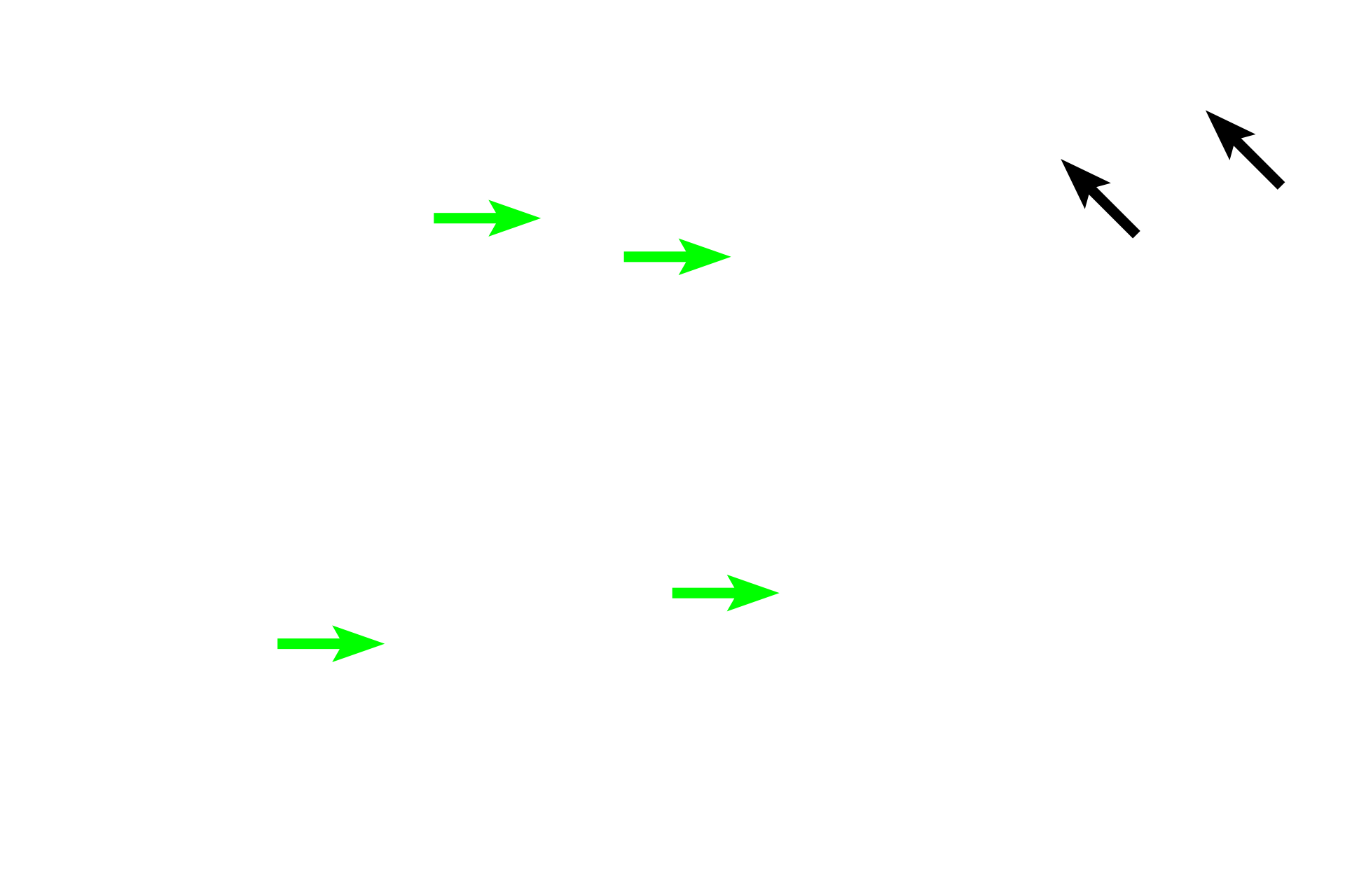  - Muscularis mucosae <p>The mucosa of the esophagus is lined by a stratified squamous moist epithelium, that provides a protective, moist surface for the passage of food.  At this level, the muscularis mucosae forms an incomplete layer, but becomes fully developed in the lower regions.</p>
